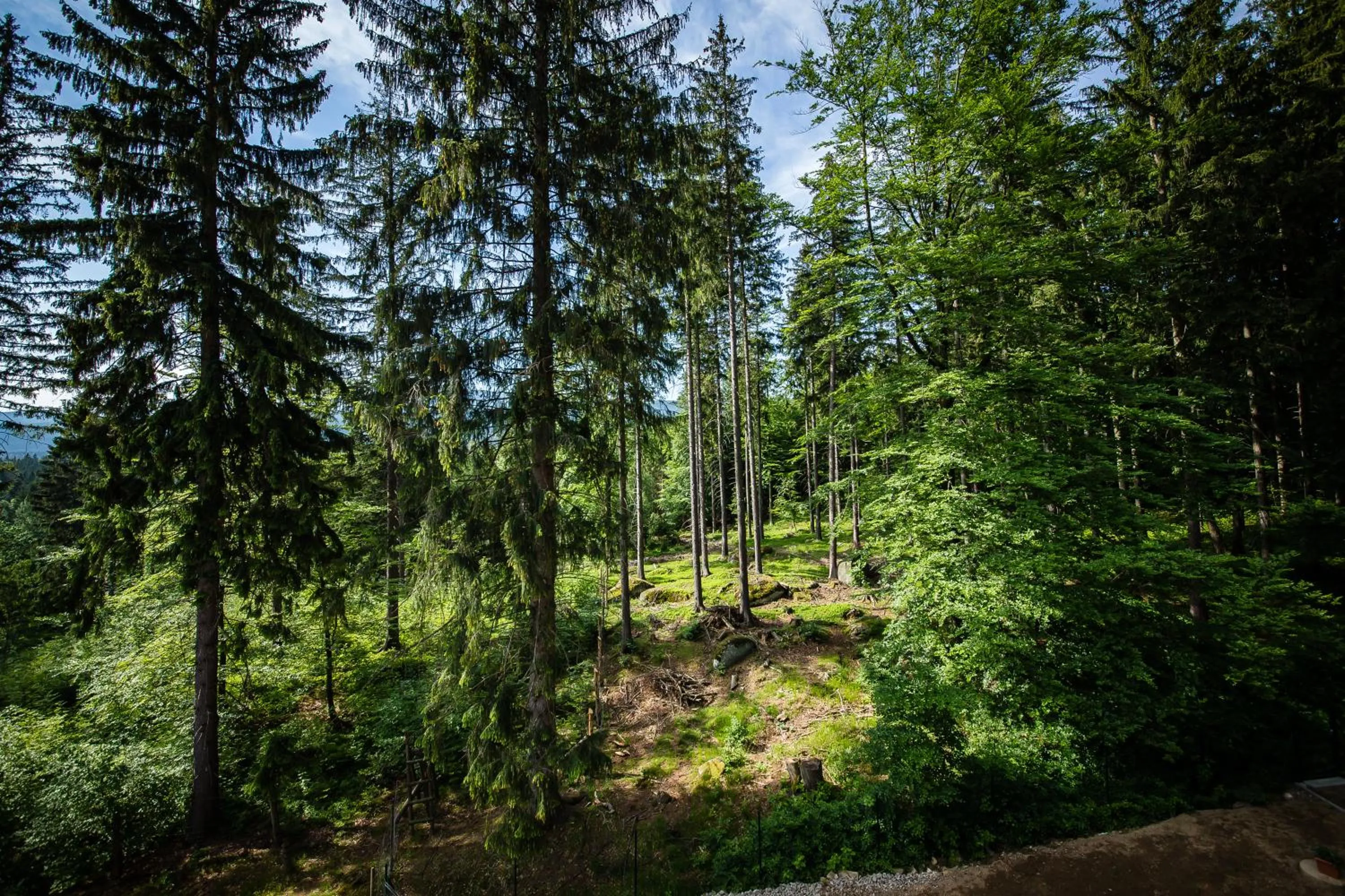 Natural landscape in Villa Obis