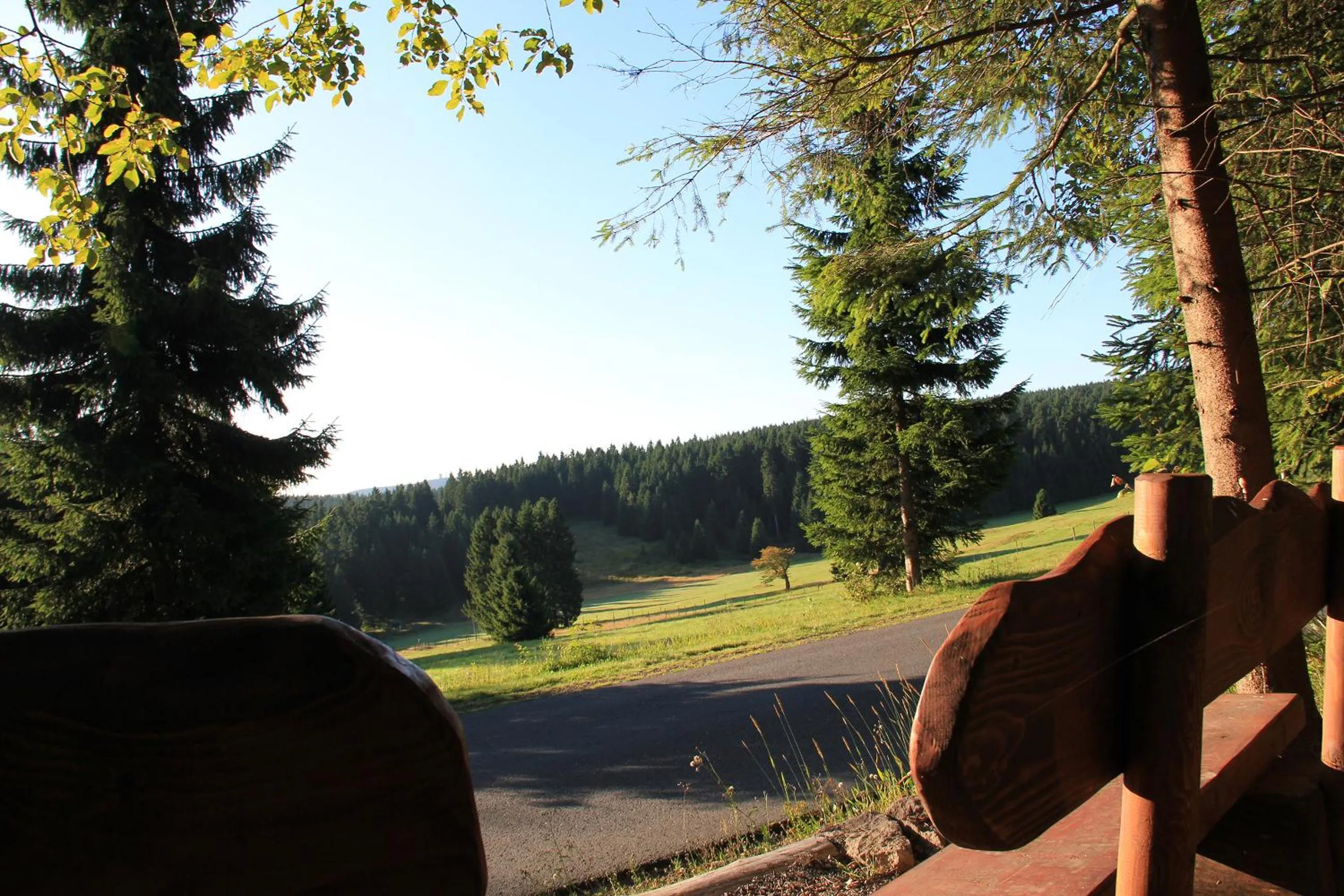 Hiking in Konsum Gästehaus Quisisana - Oberhof