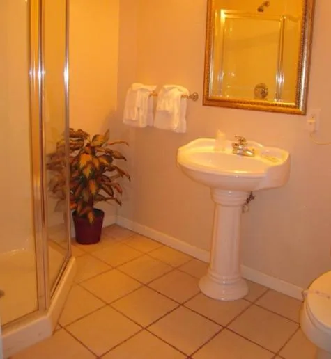 Bathroom in Colonie Inn and Suites