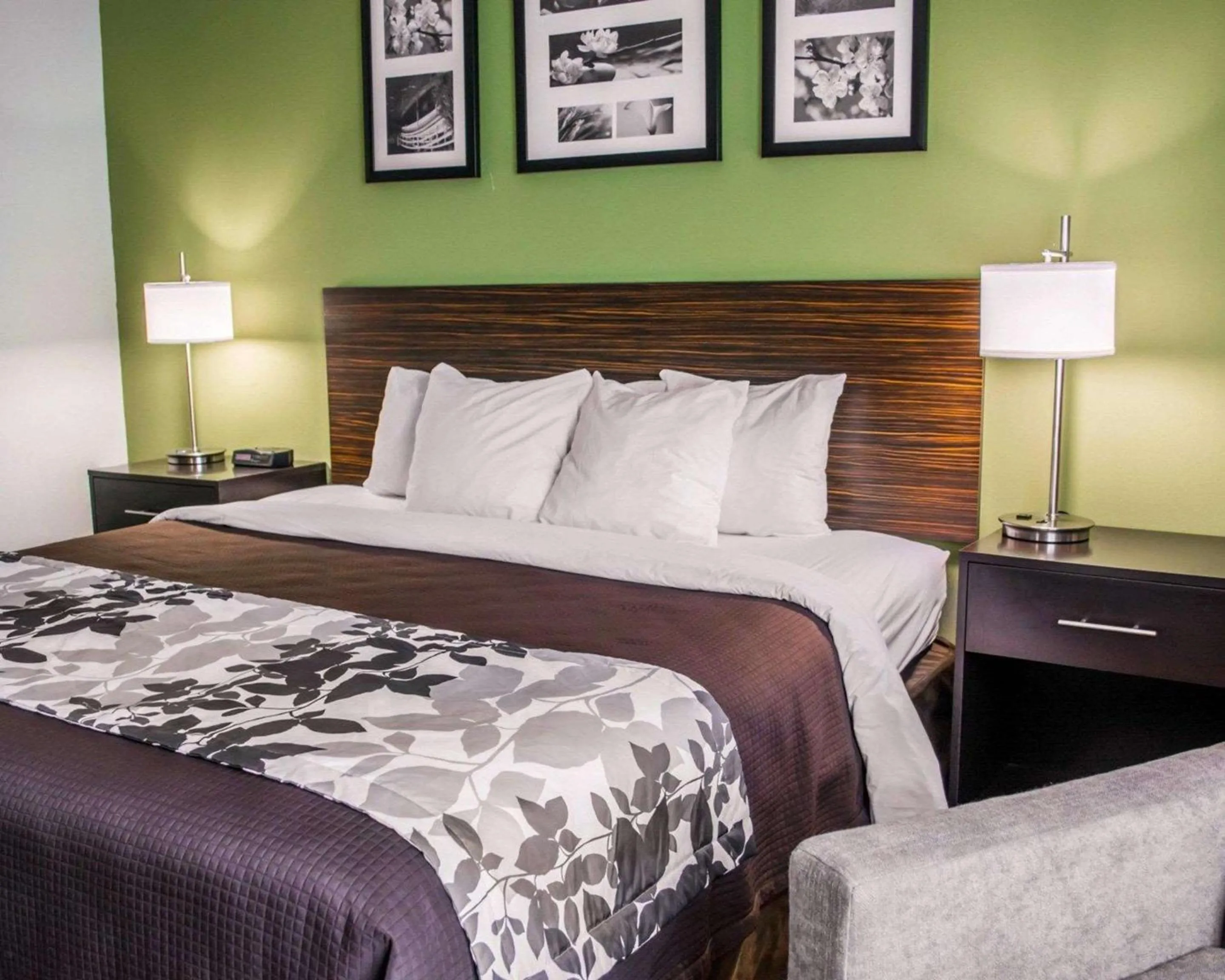 Bedroom, Bed in Sleep Inn Historic