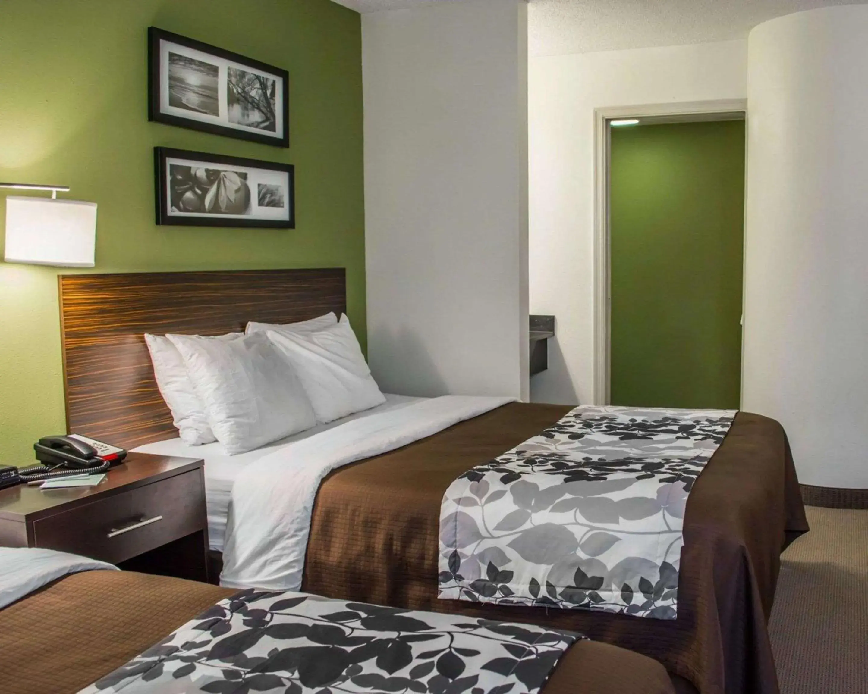 Queen Room with Two Queen Beds - Non-Smoking in Sleep Inn Historic Queen Room with Two Queen Beds - Non-Smoking in Sleep Inn Historic