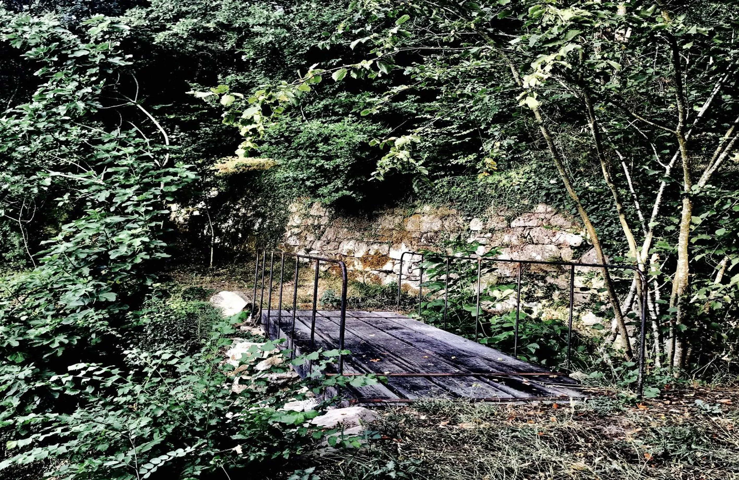 Pippo's Little Resort