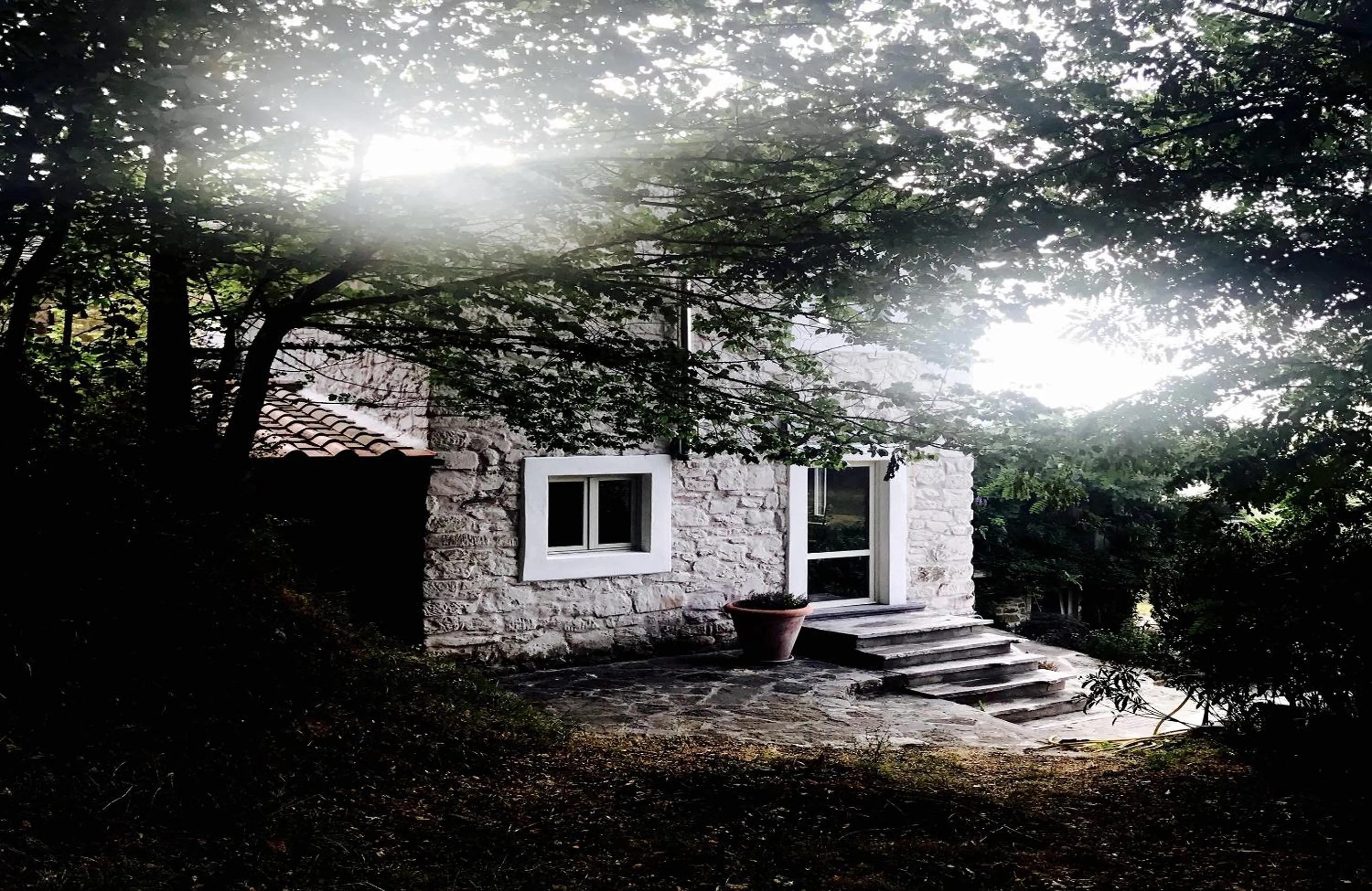 Pippo's Little Resort