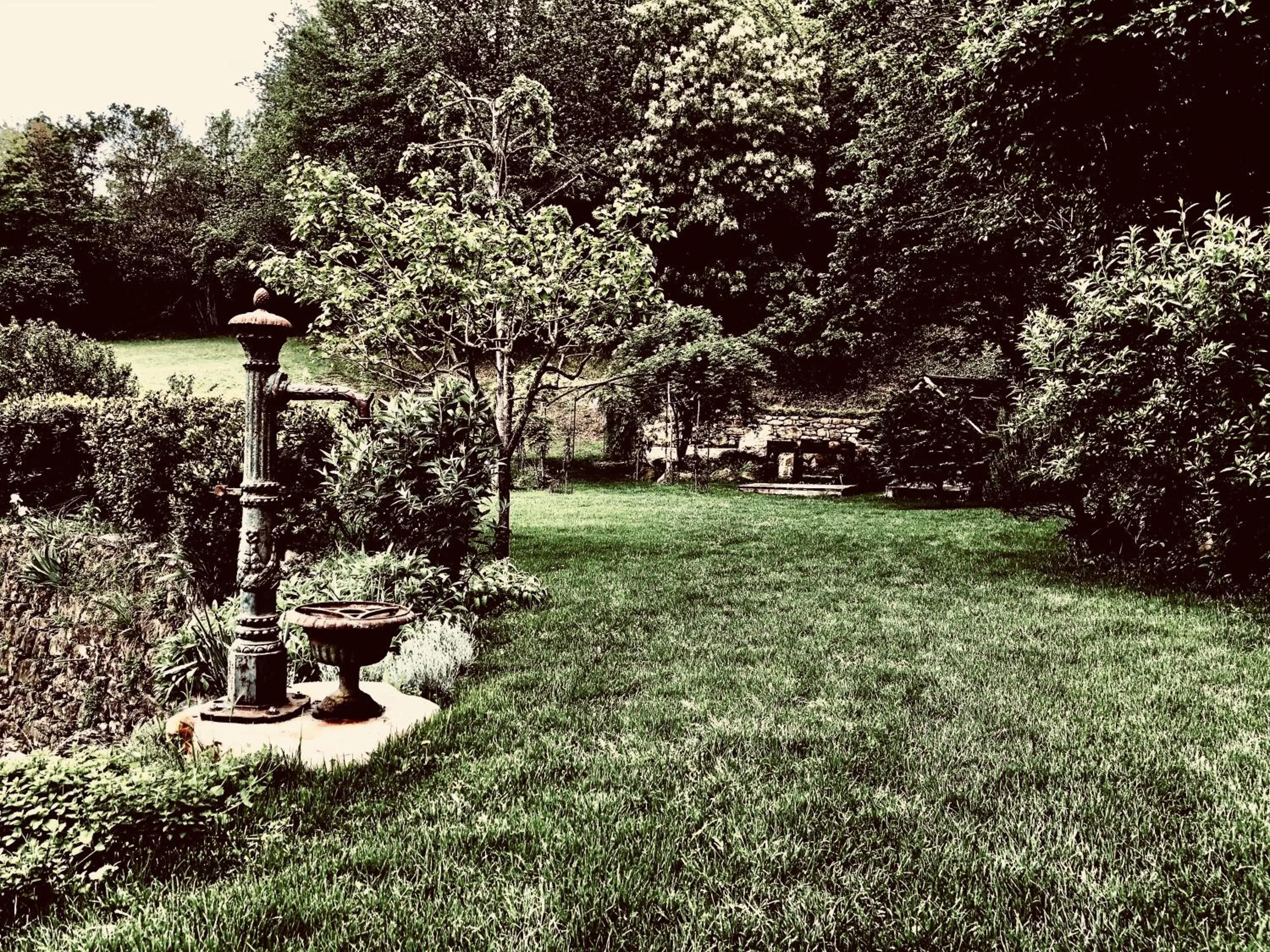 Property building in Pippo's Little Resort