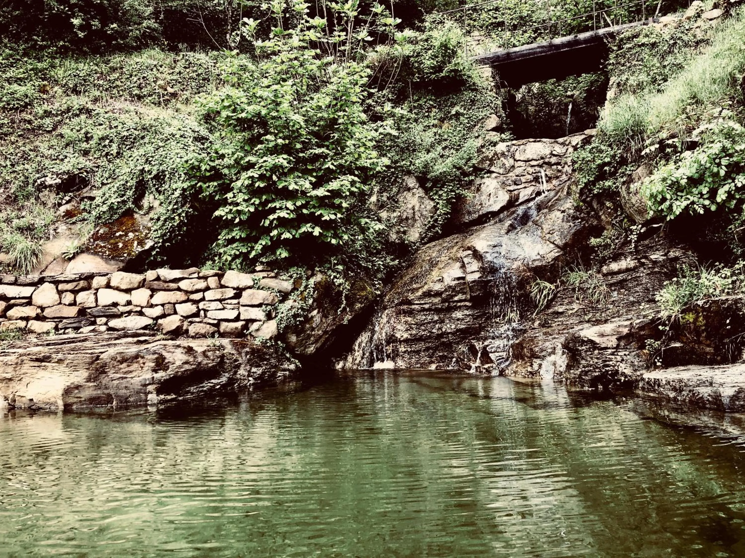 Swimming pool in Pippo's Little Resort