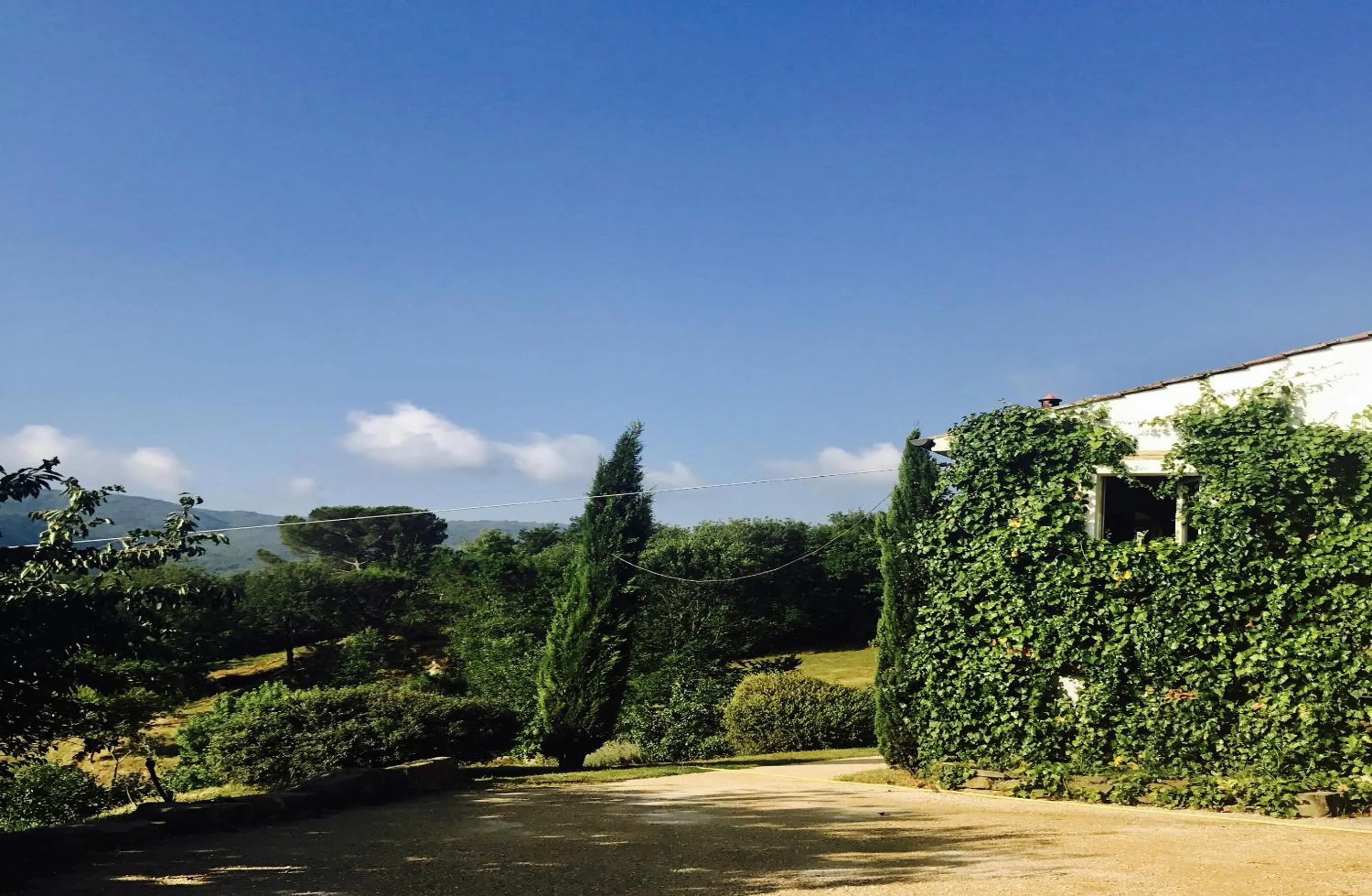 Pippo's Little Resort