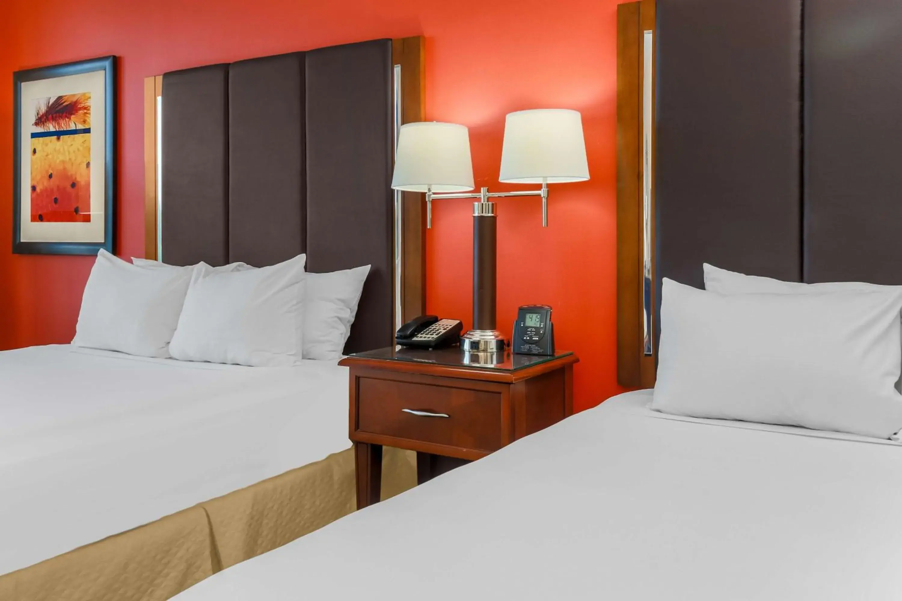 Deluxe Queen Room with Two Queen Beds and Roll-In Shower - Mobility Access in Hilton Branson Convention Center Deluxe Queen Room with Two Queen Beds and Roll-In Shower - Mobility Access in Hilton Branson Convention Center