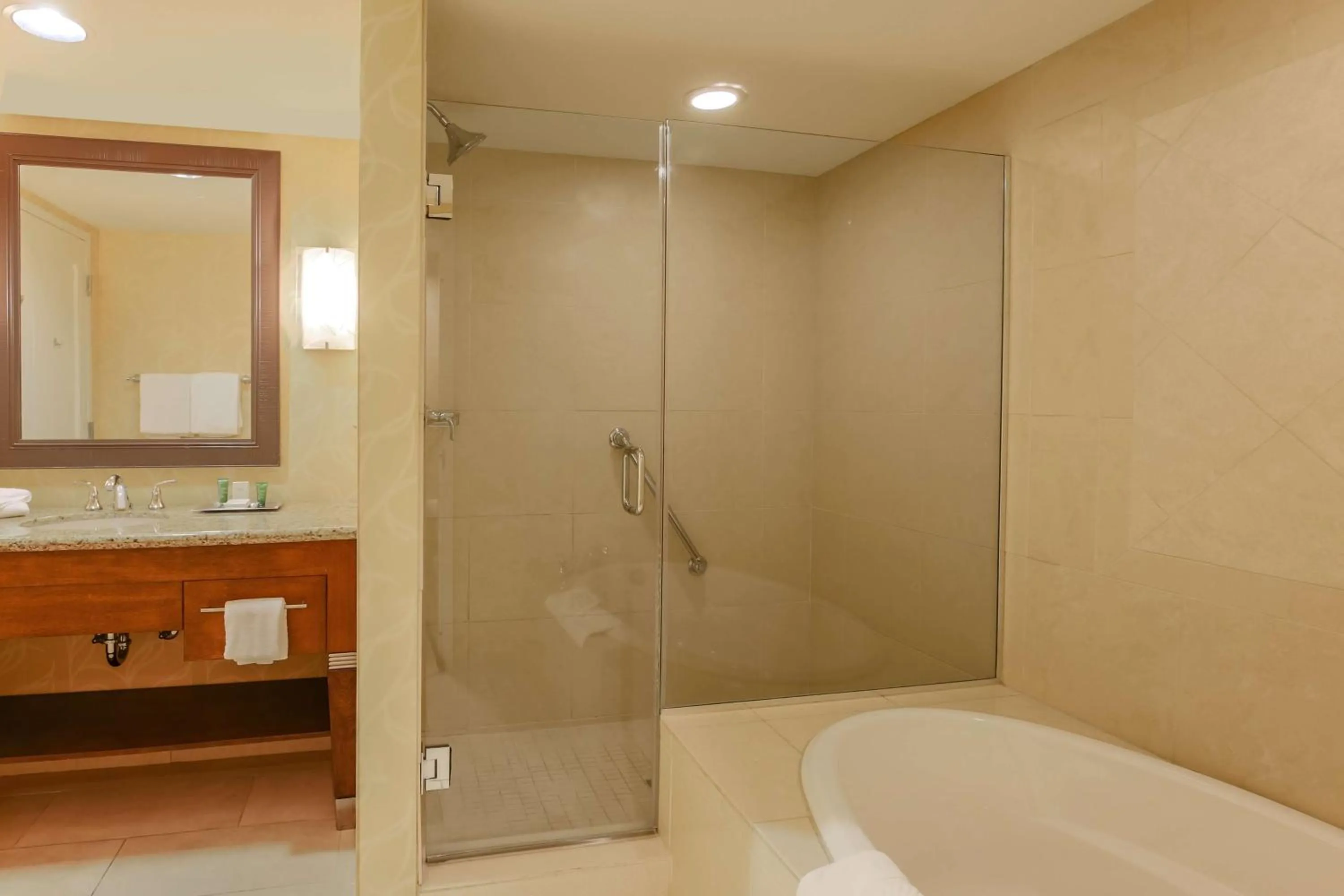 Bathroom in Hilton Branson Convention Center