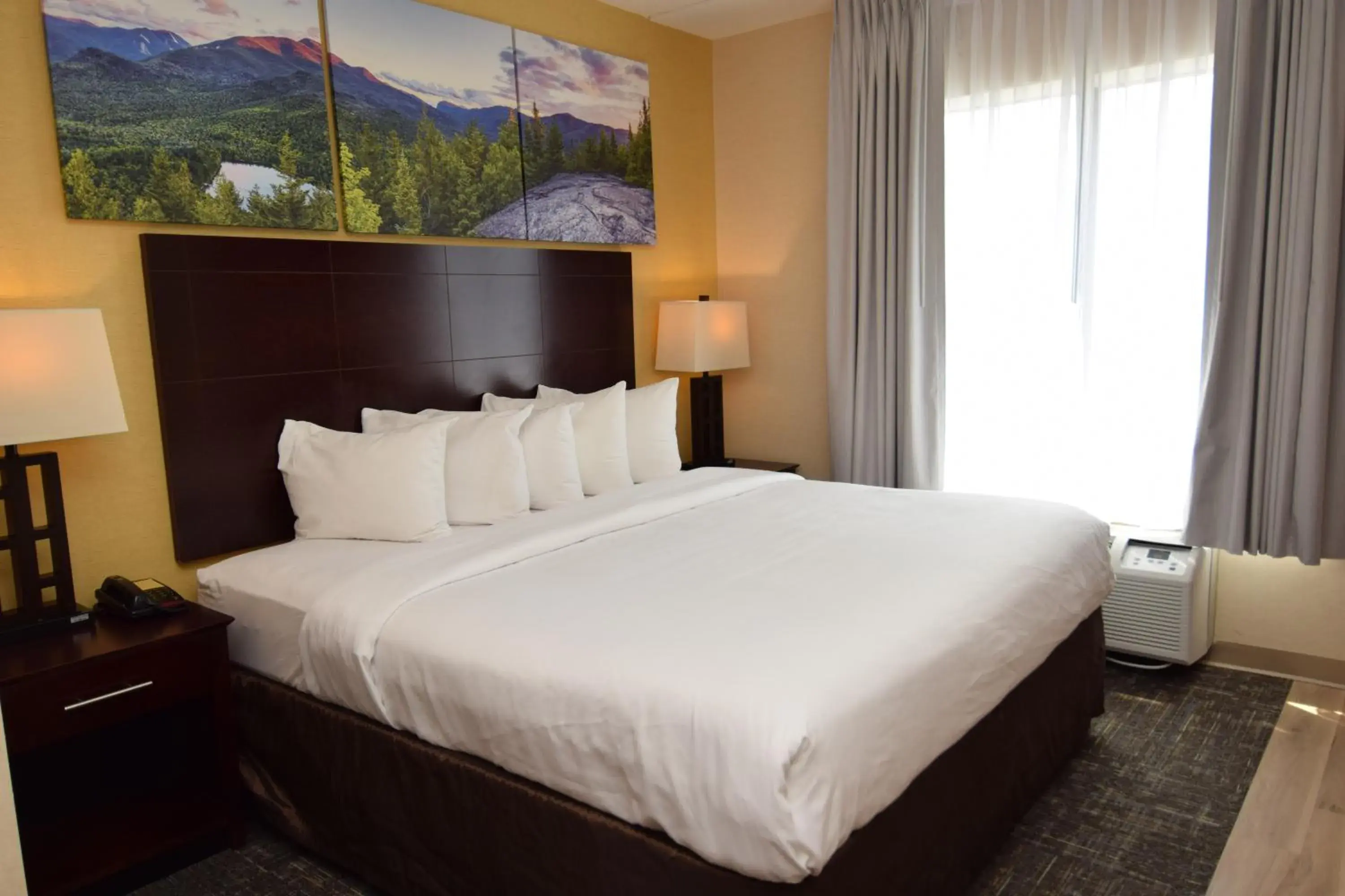 King Suite with Roll-in-Shower - Accessible/Non-Smoking in Cicero Grand - Syracuse North King Suite with Roll-in-Shower - Accessible/Non-Smoking in Cicero Grand - Syracuse North