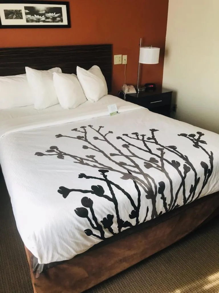 Bed in Sleep Inn North Charleston Ashley Phosphate