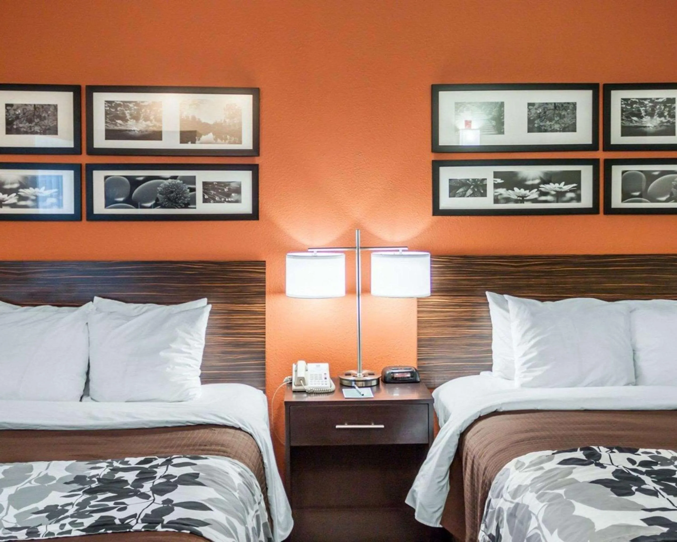 Photo of the whole room, Bed in Sleep Inn North Charleston Ashley Phosphate