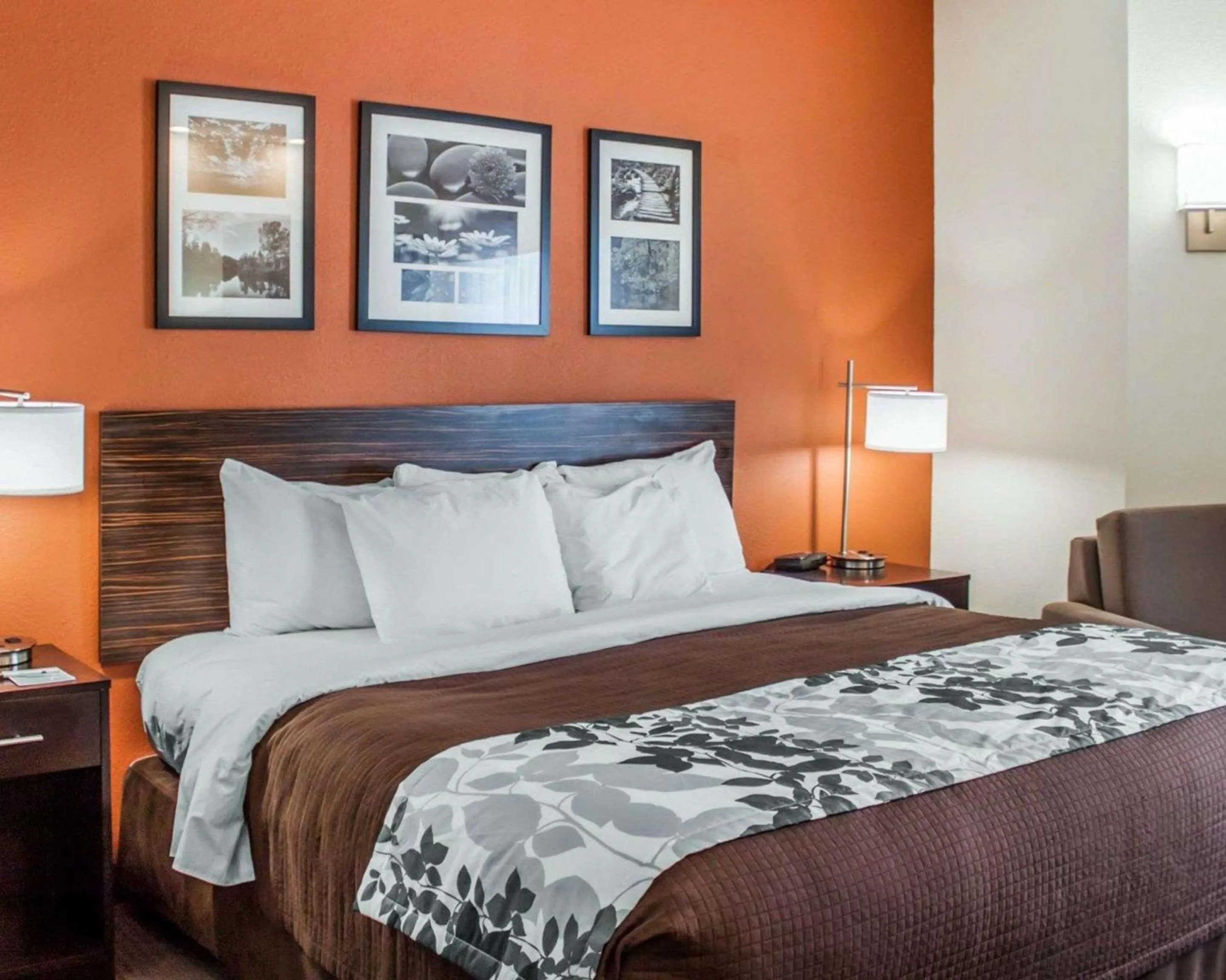 Photo of the whole room, Bed in Sleep Inn North Charleston Ashley Phosphate