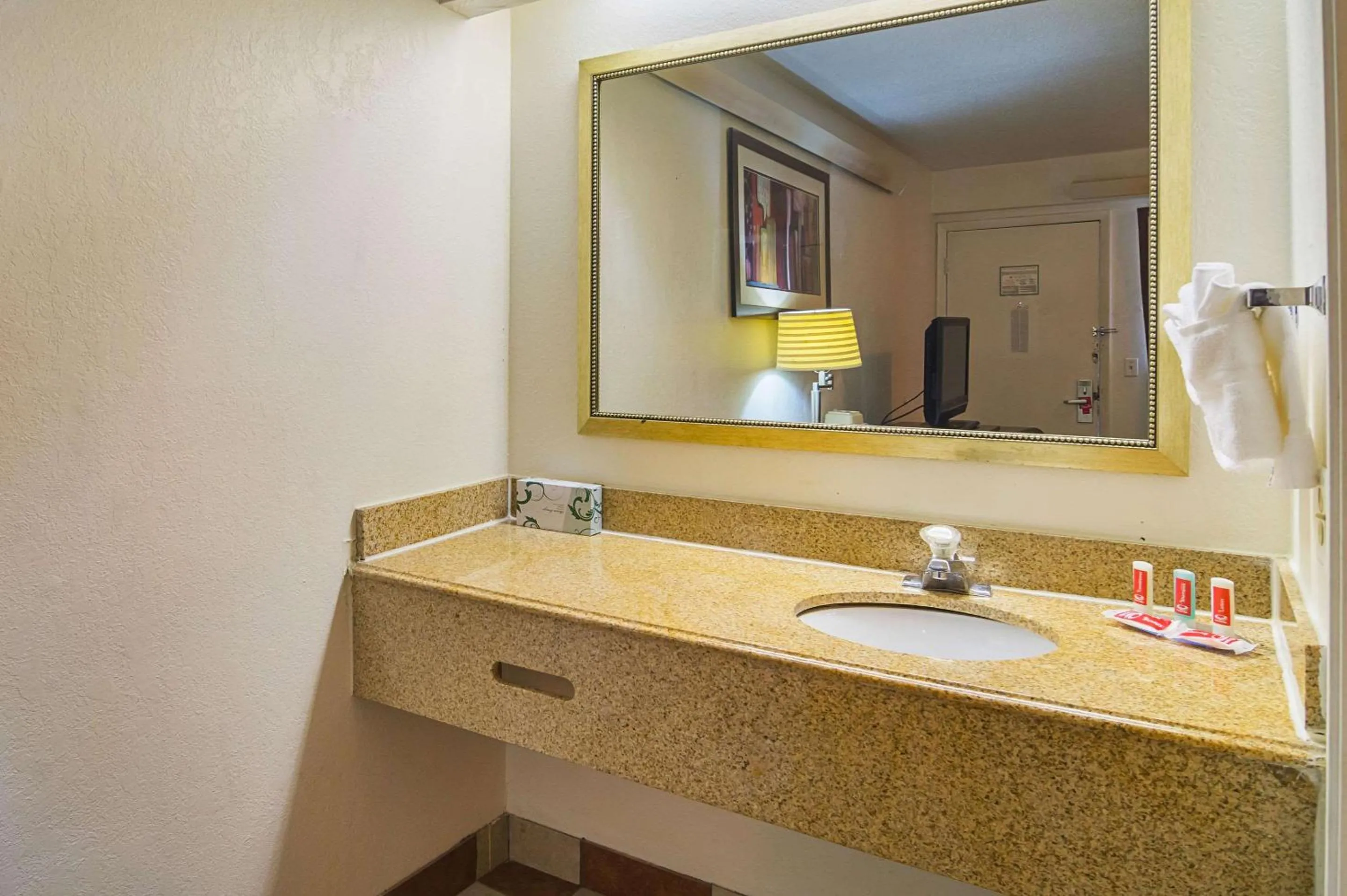 Bathroom in Econo Lodge South Holland - Chicago Southland