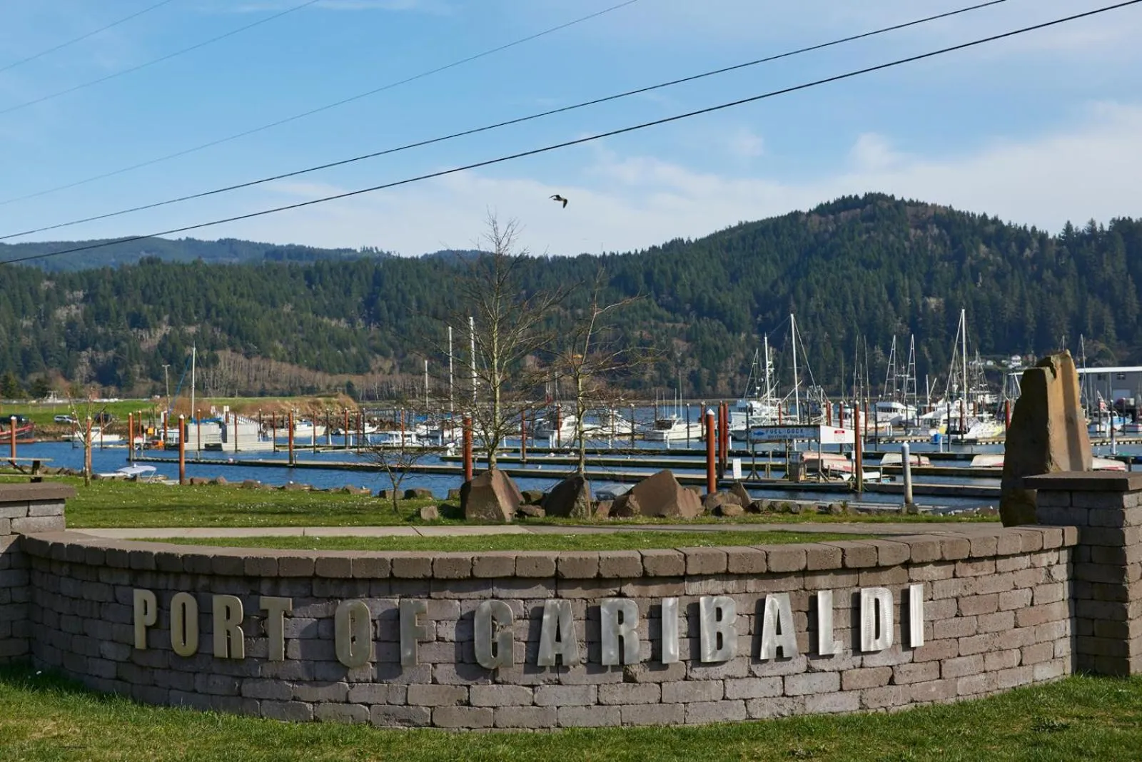 Neighbourhood in The Hotel Garibaldi