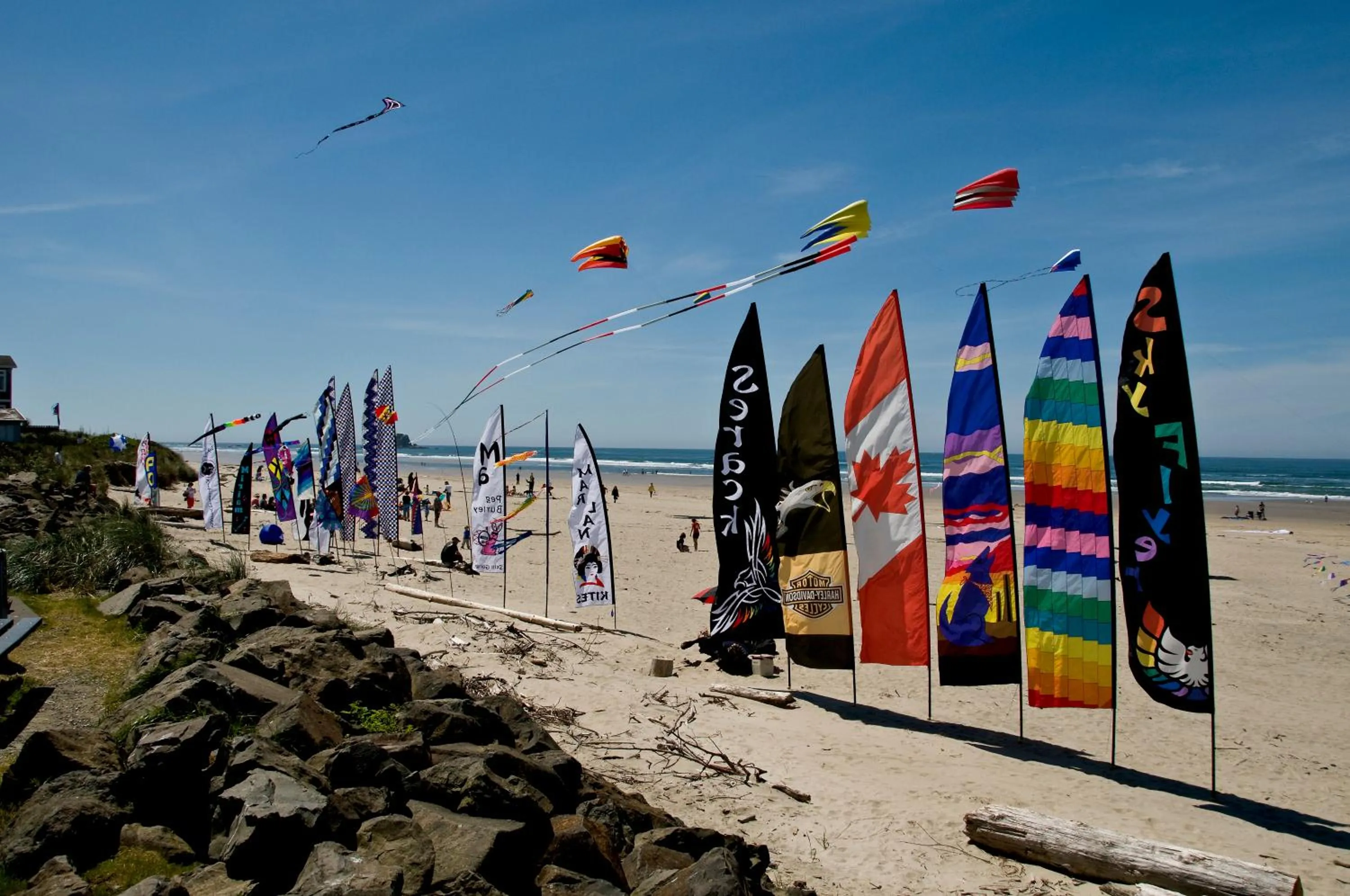 Area and facilities in The Hotel Garibaldi