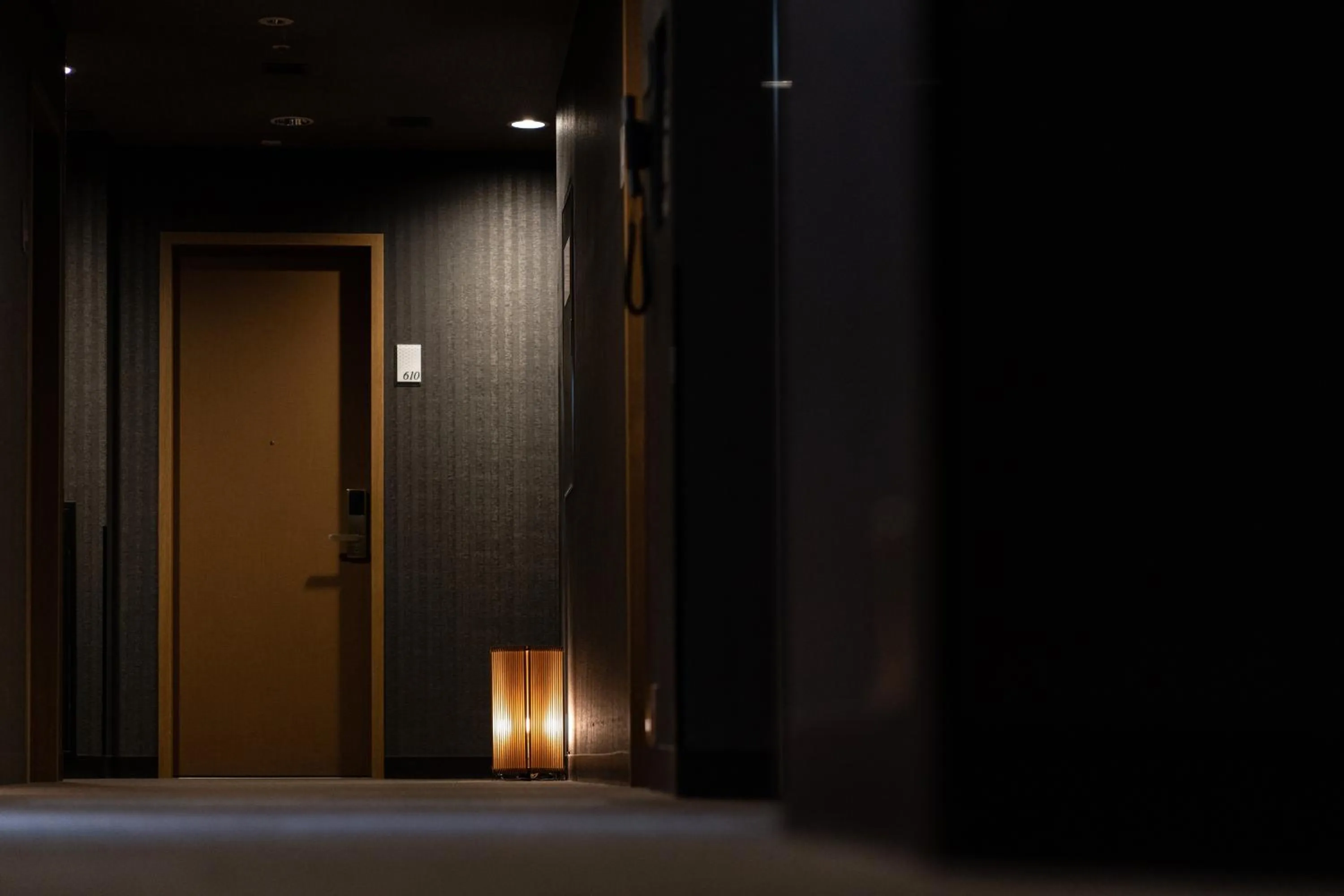 Decorative detail in Hotel Vista Premio Kyoto Kawaramachi St