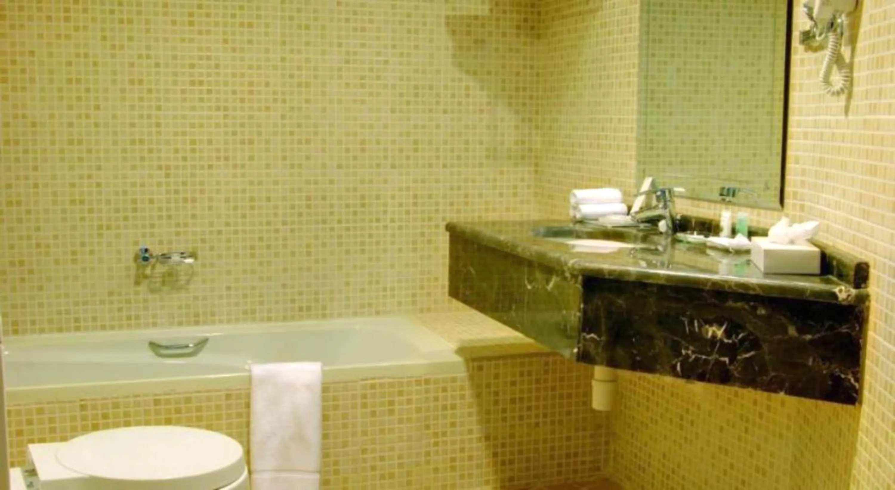 Bathroom in Aryana Hotel