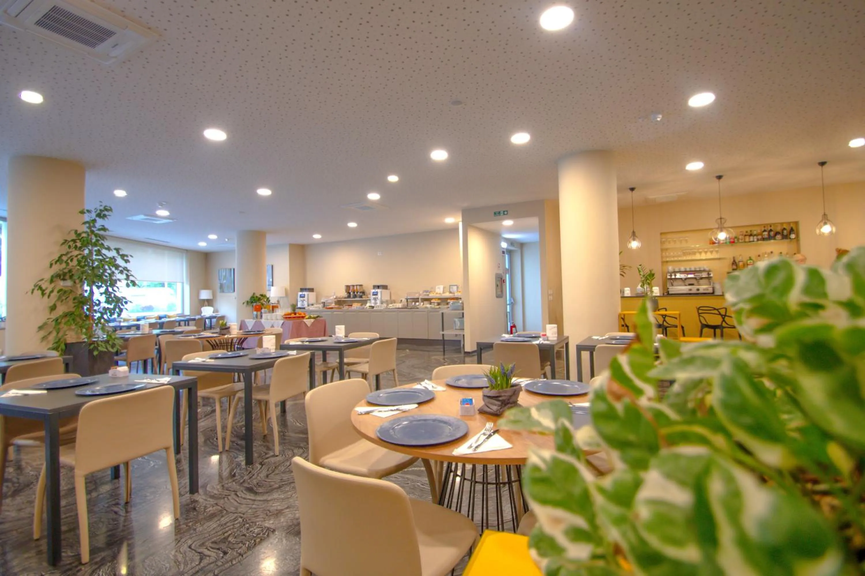 Restaurant/places to eat in Ark Hotel