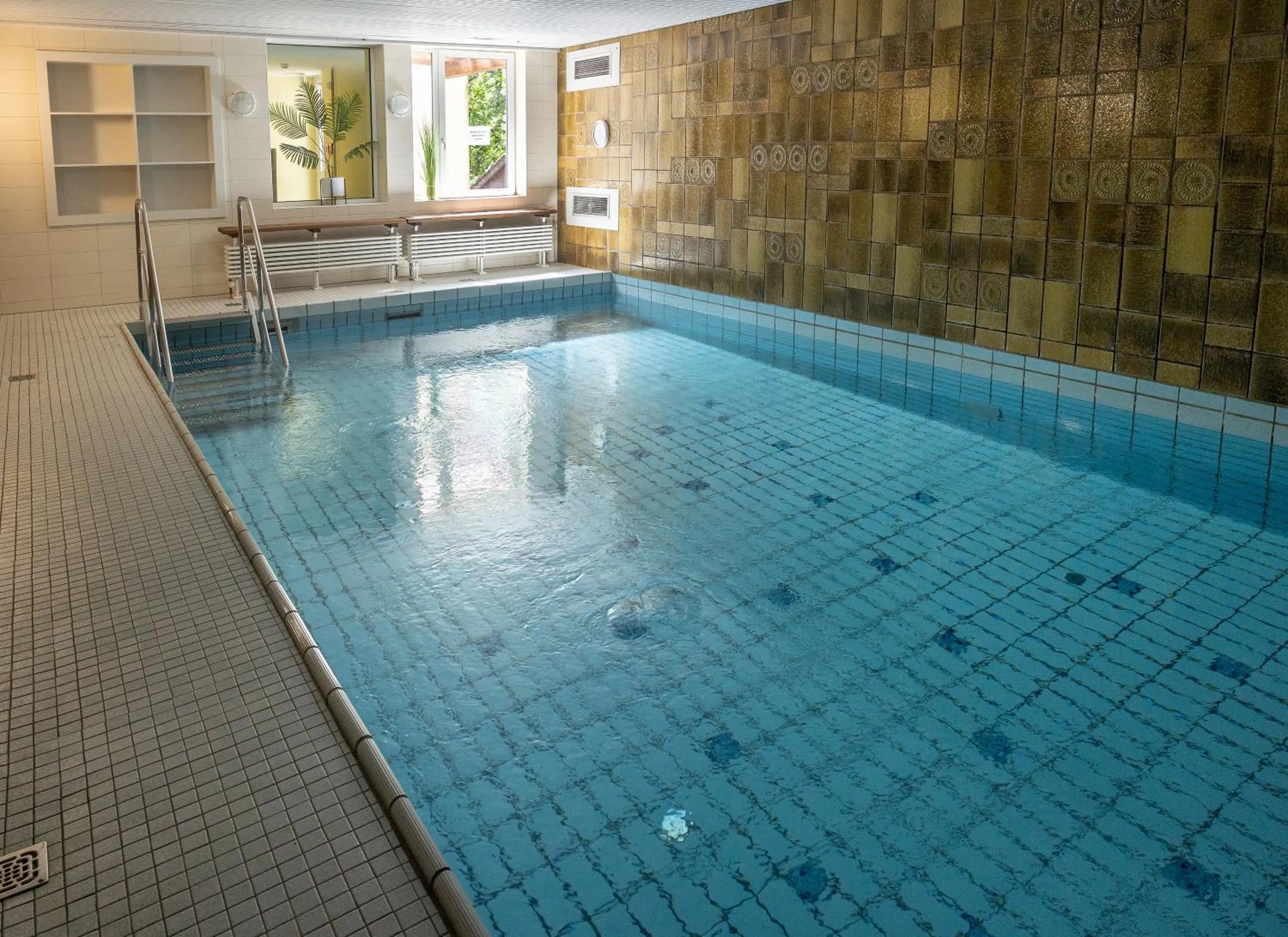 Swimming pool in Waldhaus am See