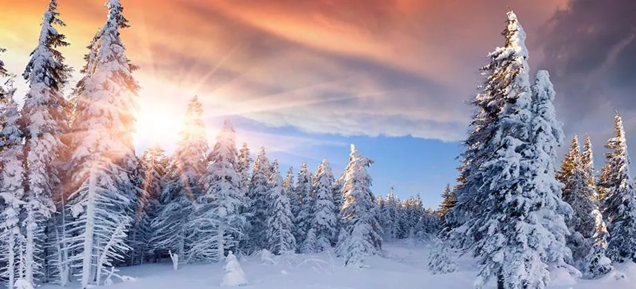 Natural landscape in Hotel an der Sonne & Restaurant Zum Schneiger