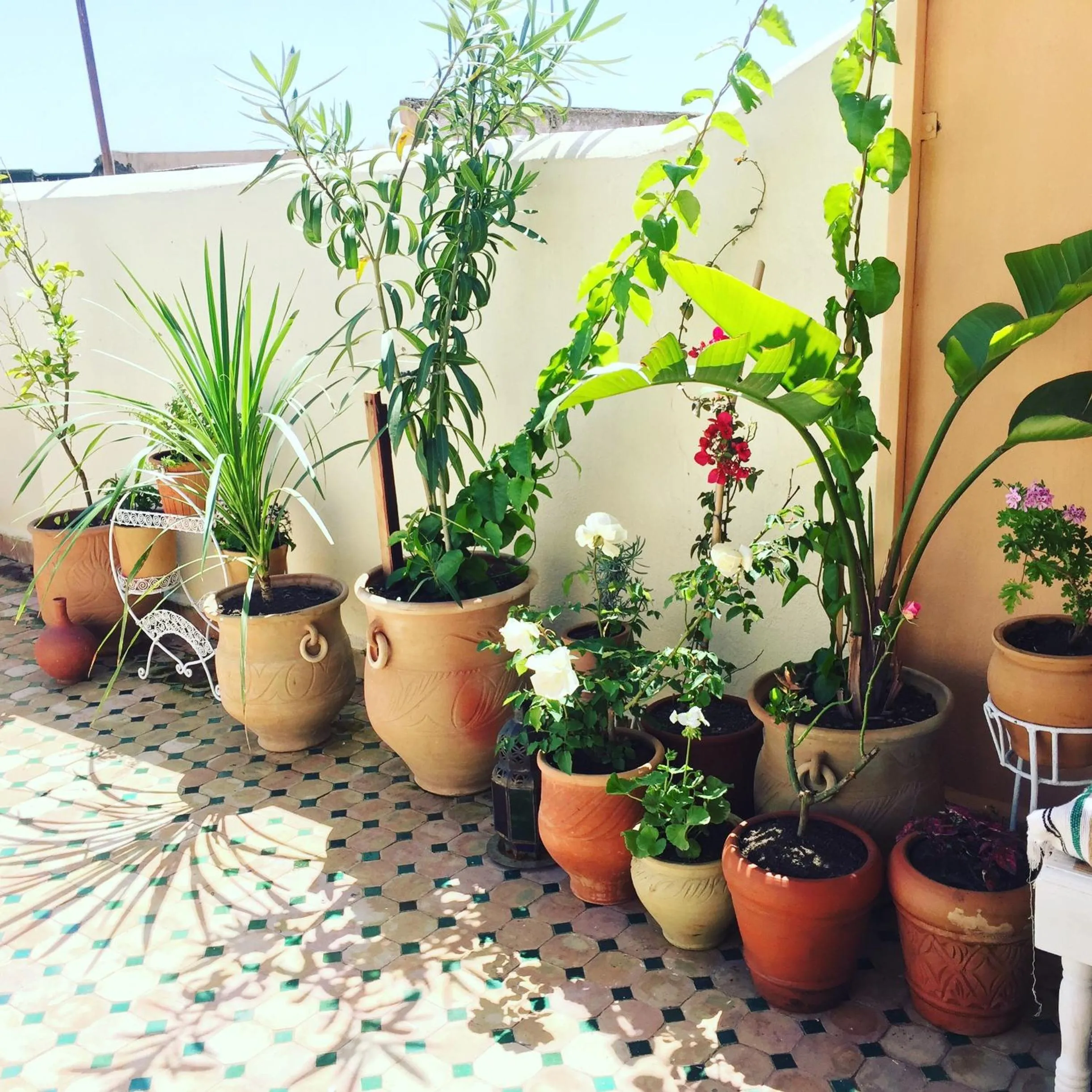 Balcony/Terrace in Dar Saray