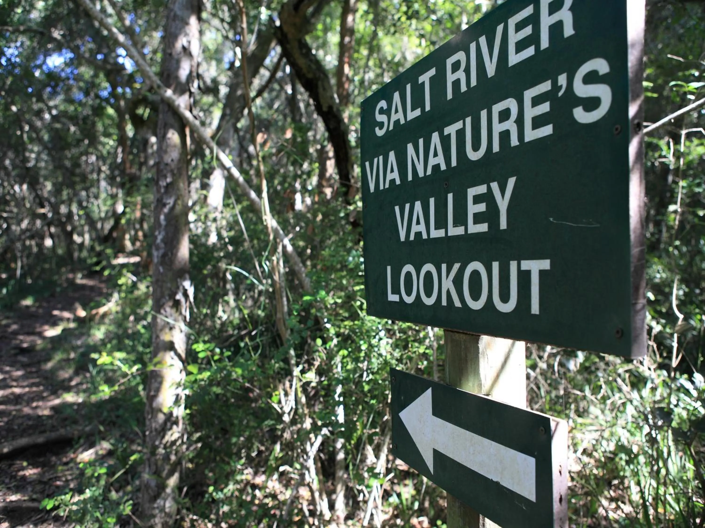 Day in Lily Pond Country Lodge