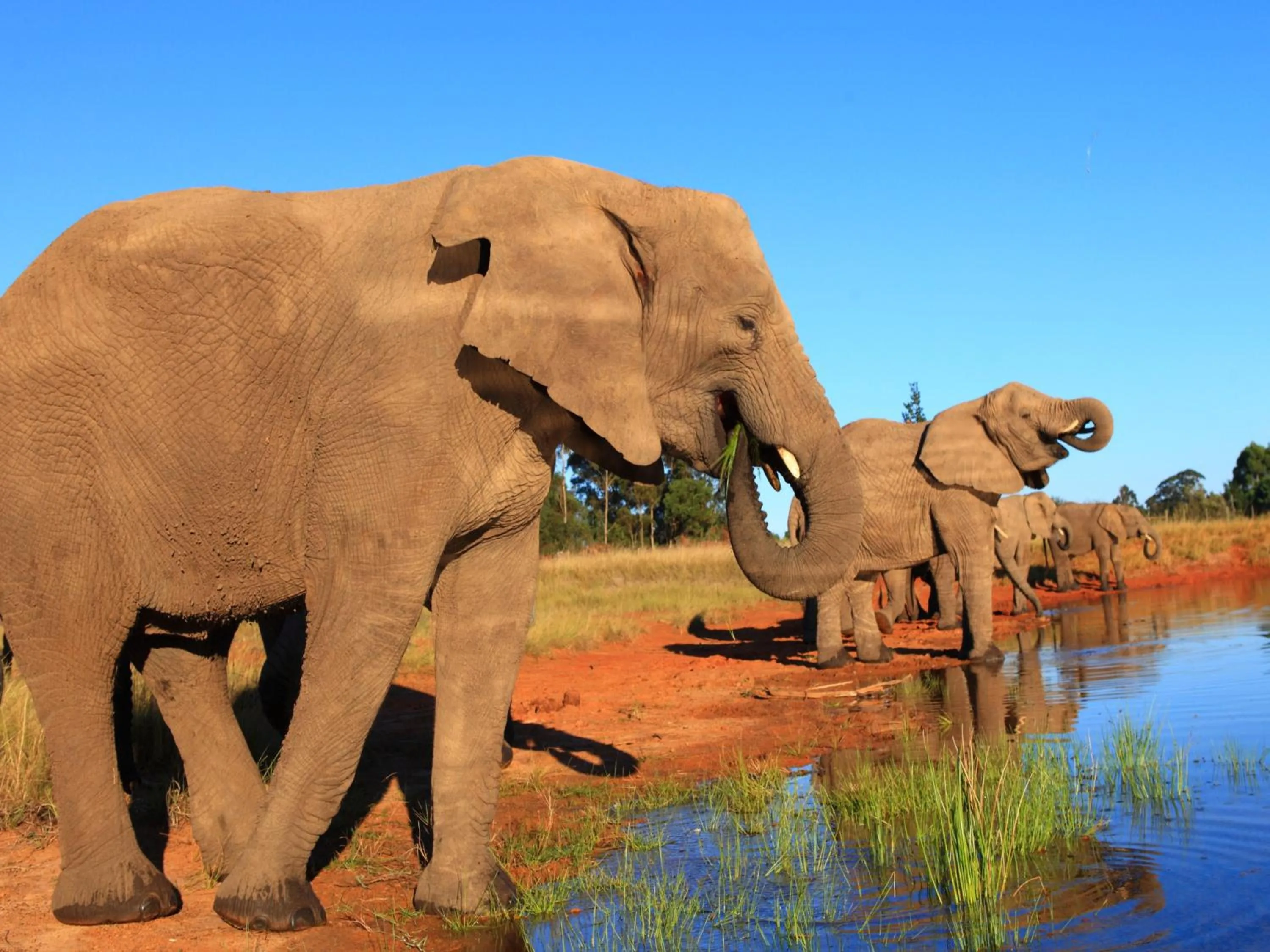 Day in Lily Pond Country Lodge