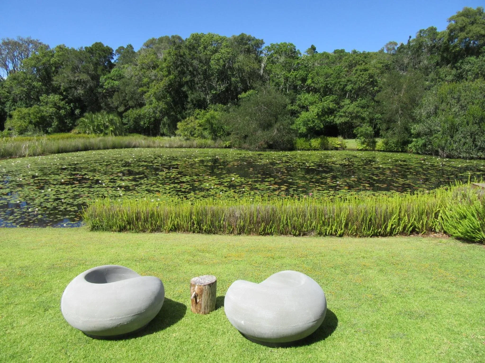 Natural landscape in Lily Pond Country Lodge