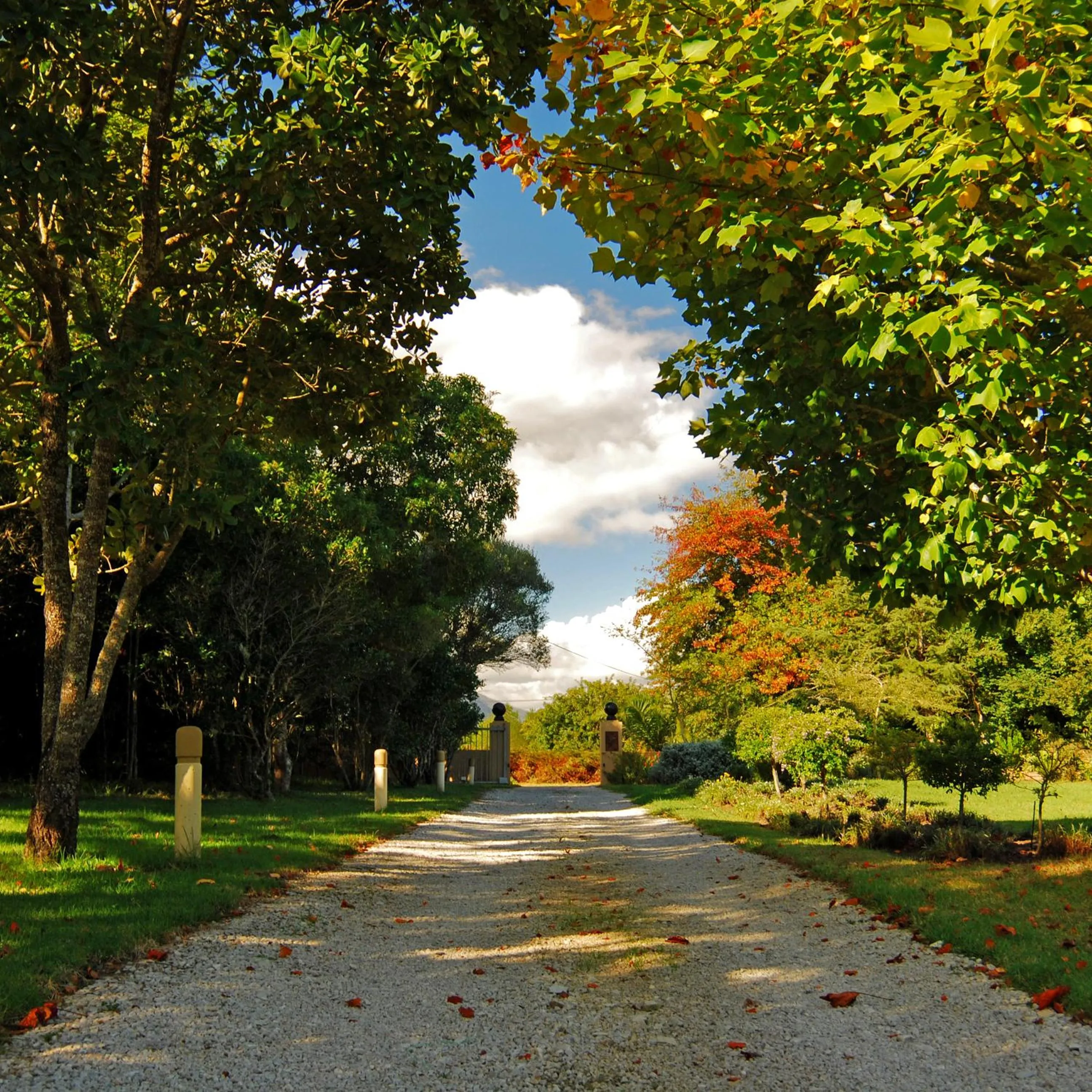 Day in Lily Pond Country Lodge