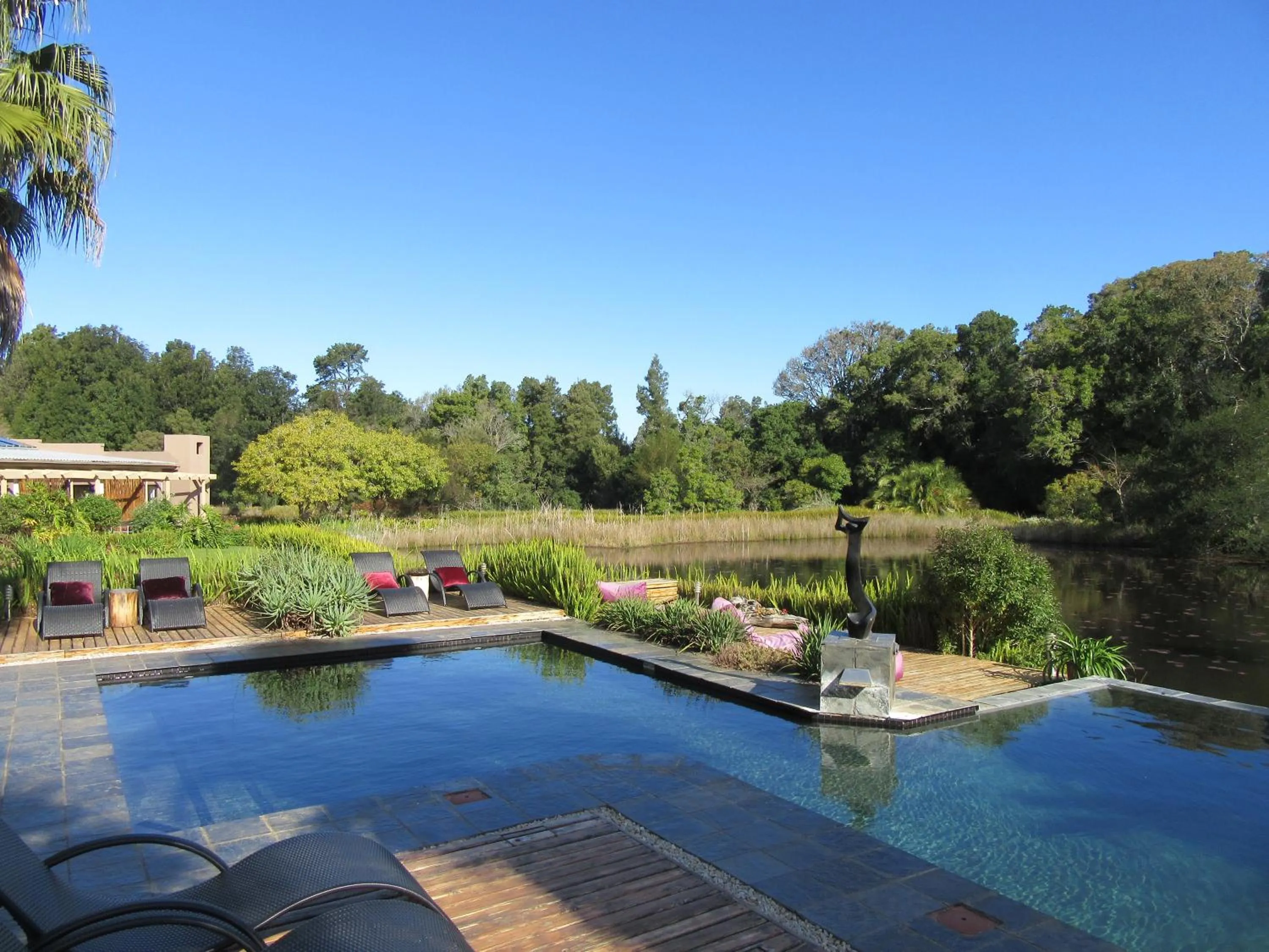 Natural landscape in Lily Pond Country Lodge