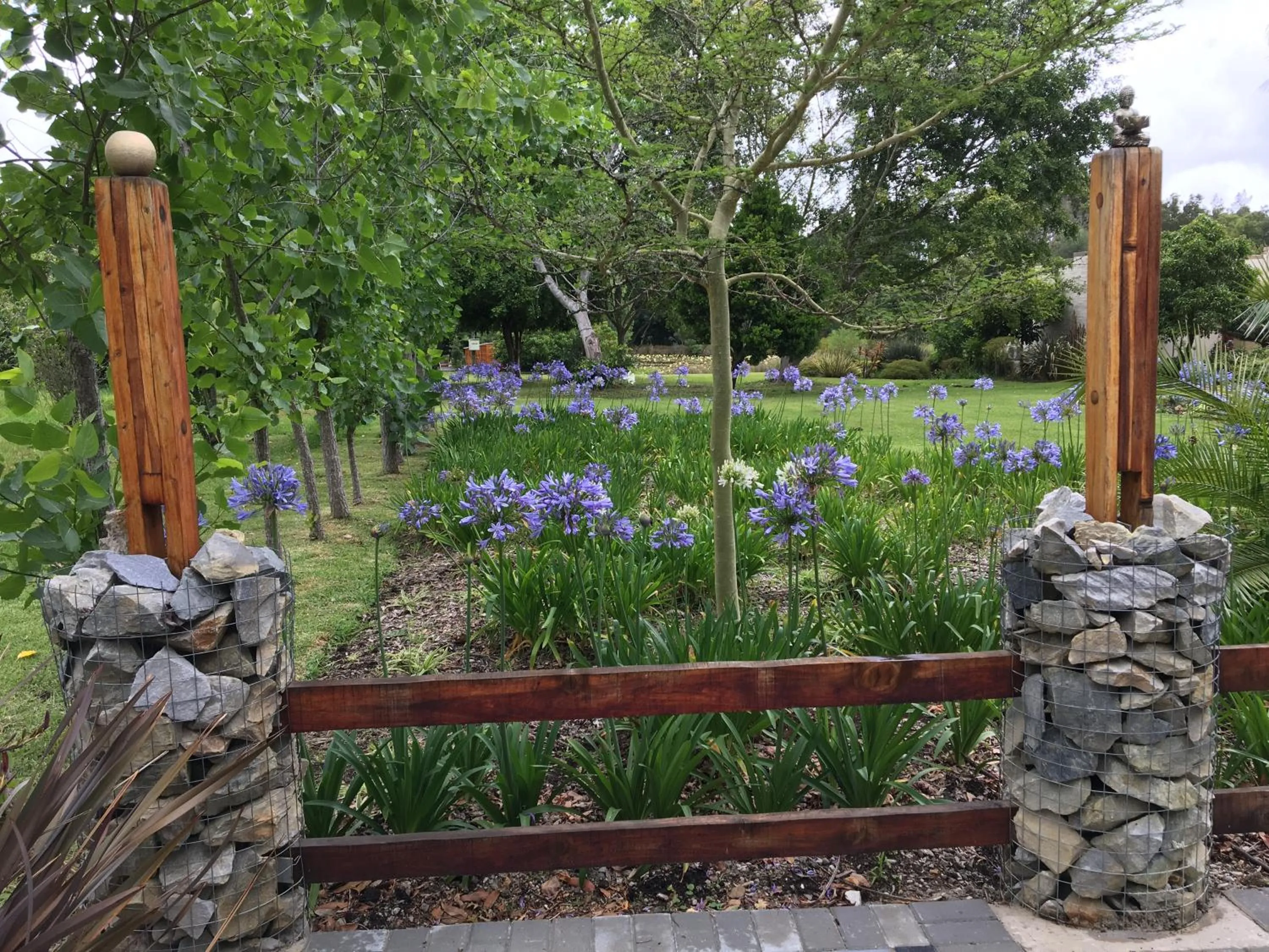 Garden in Lily Pond Country Lodge