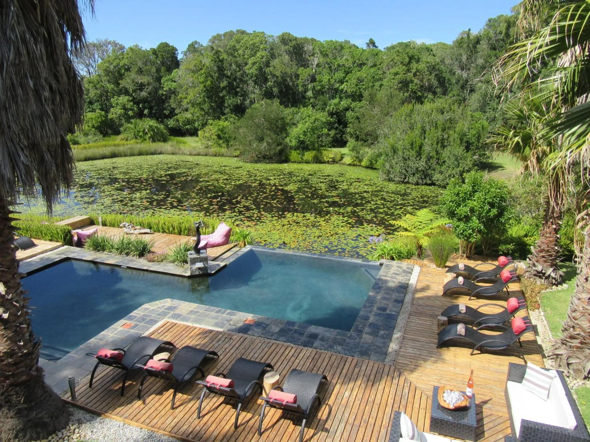 Bird's eye view in Lily Pond Country Lodge