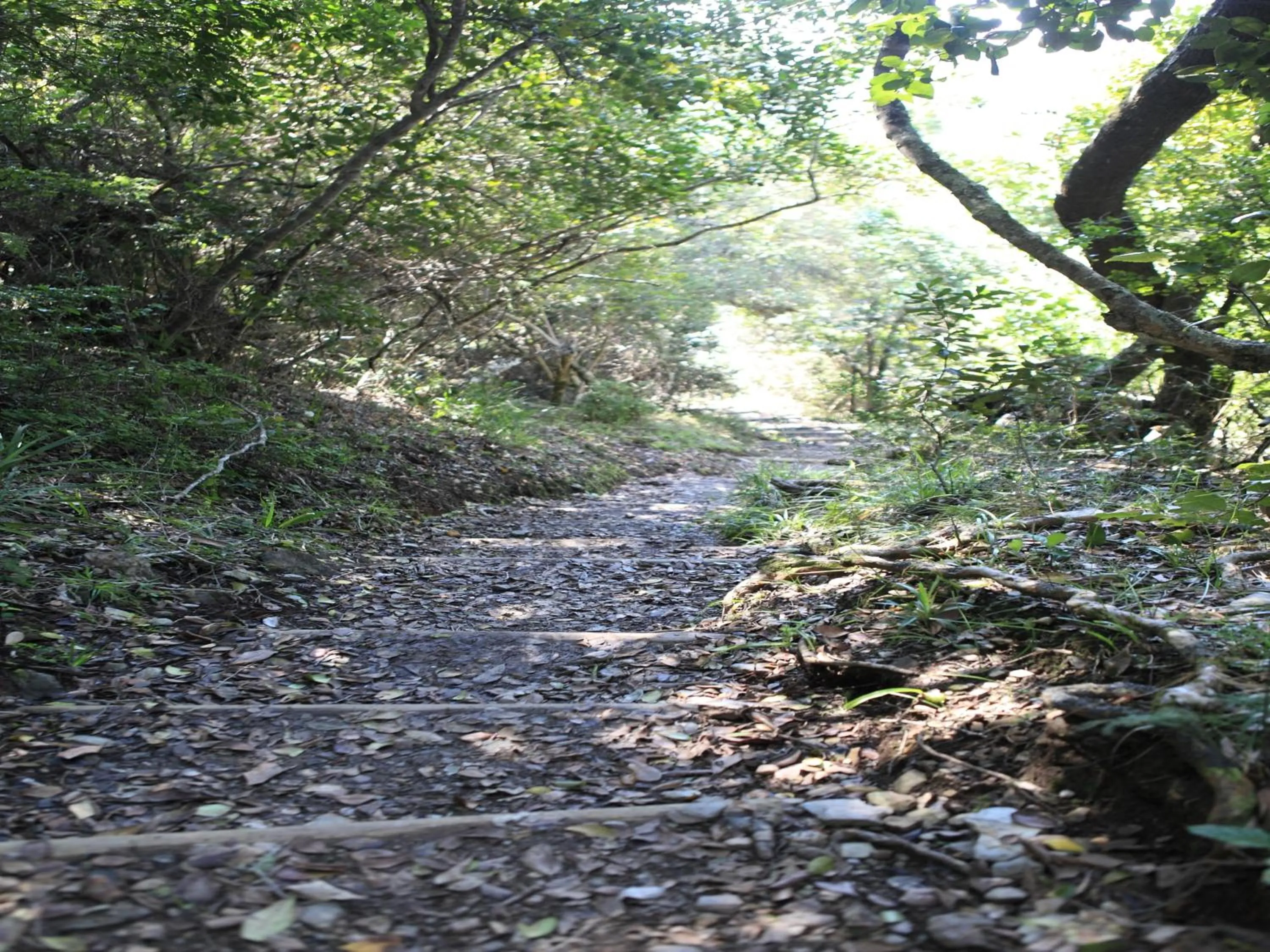 Day in Lily Pond Country Lodge