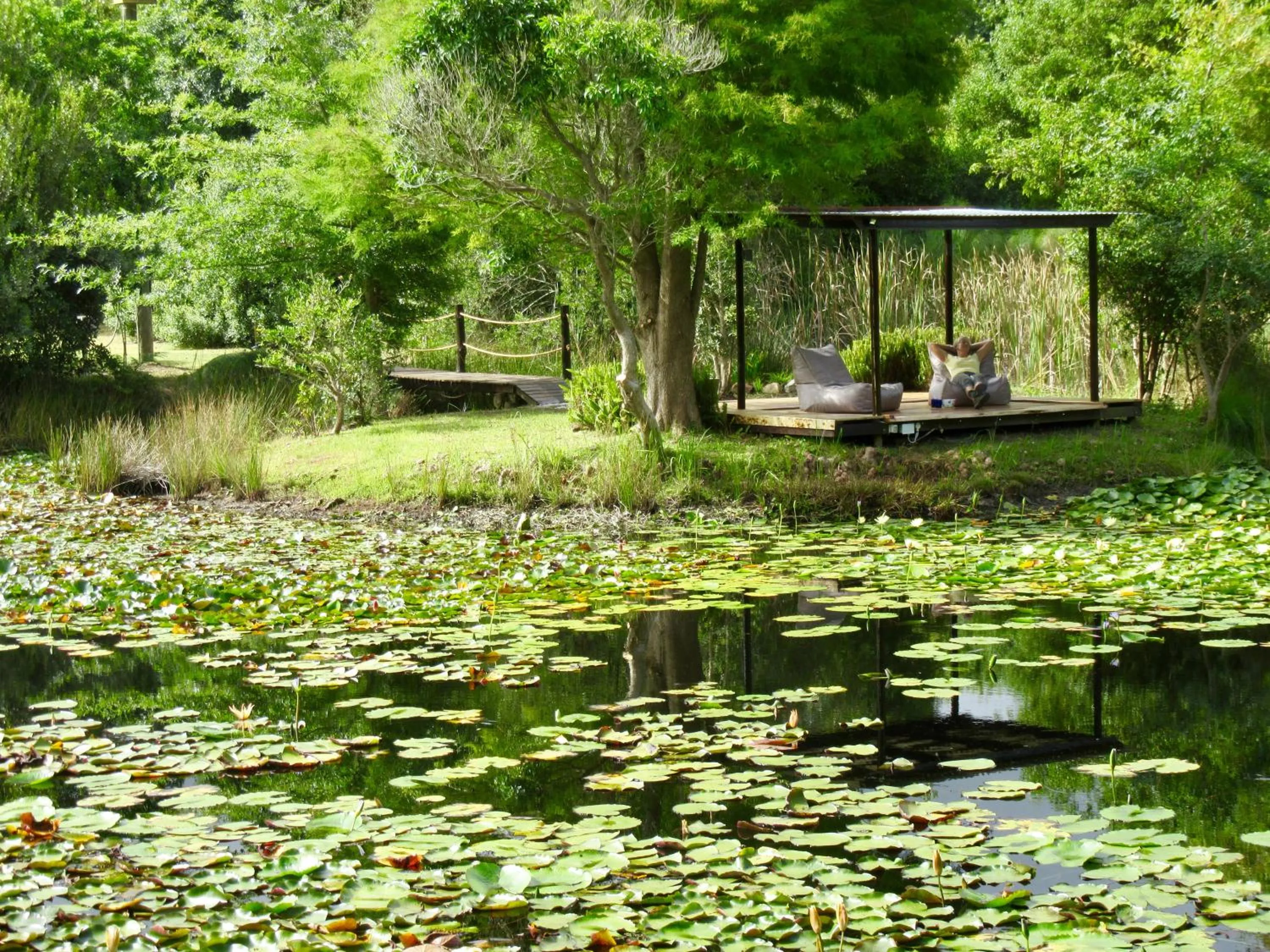 Restaurant/places to eat in Lily Pond Country Lodge