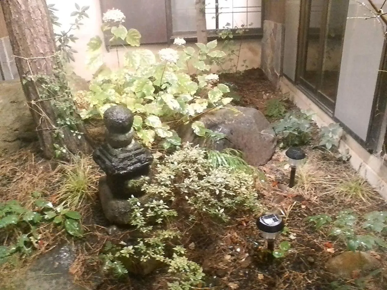 Garden in Kamesei Ryokan