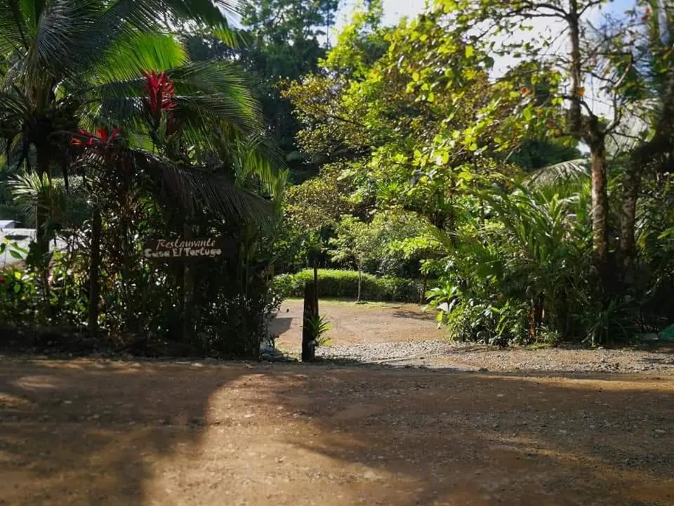 Facade/entrance in Casa el Tortugo