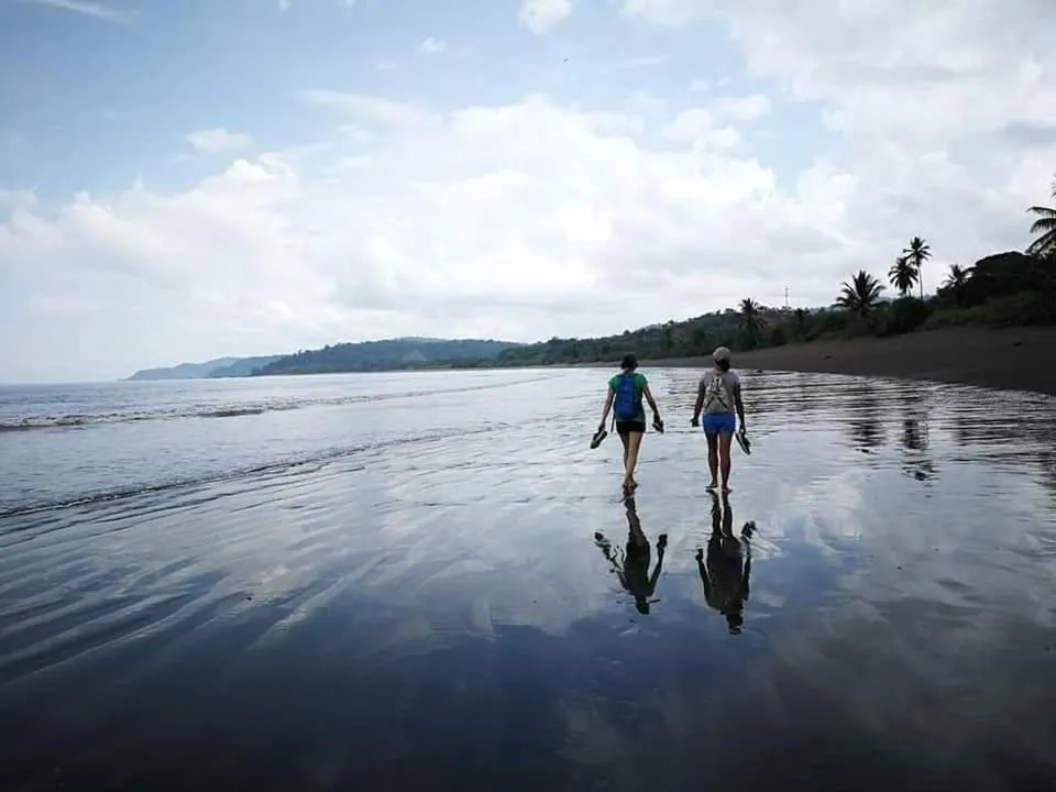 Beach in Casa el Tortugo