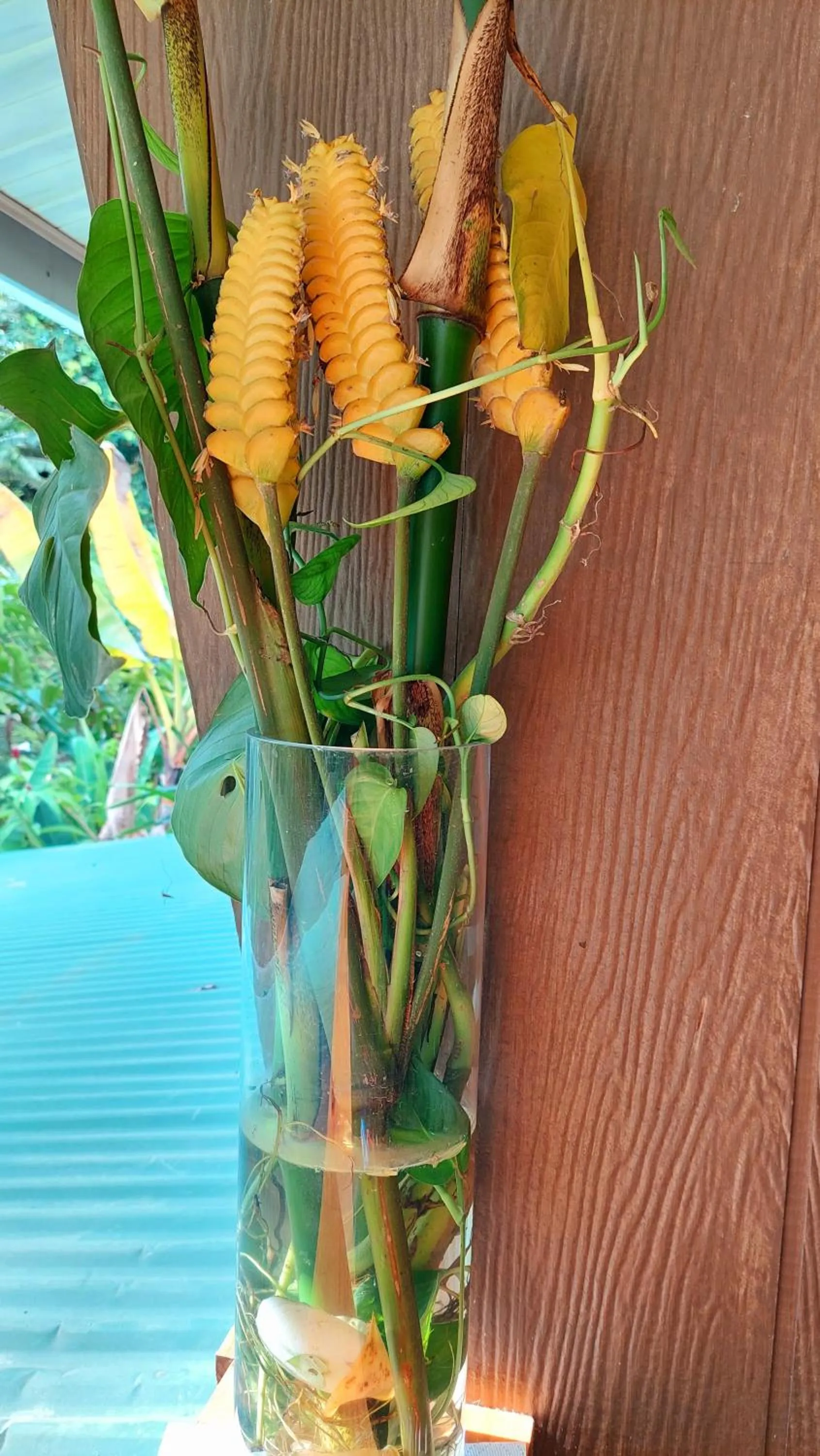 Living room in Casa el Tortugo