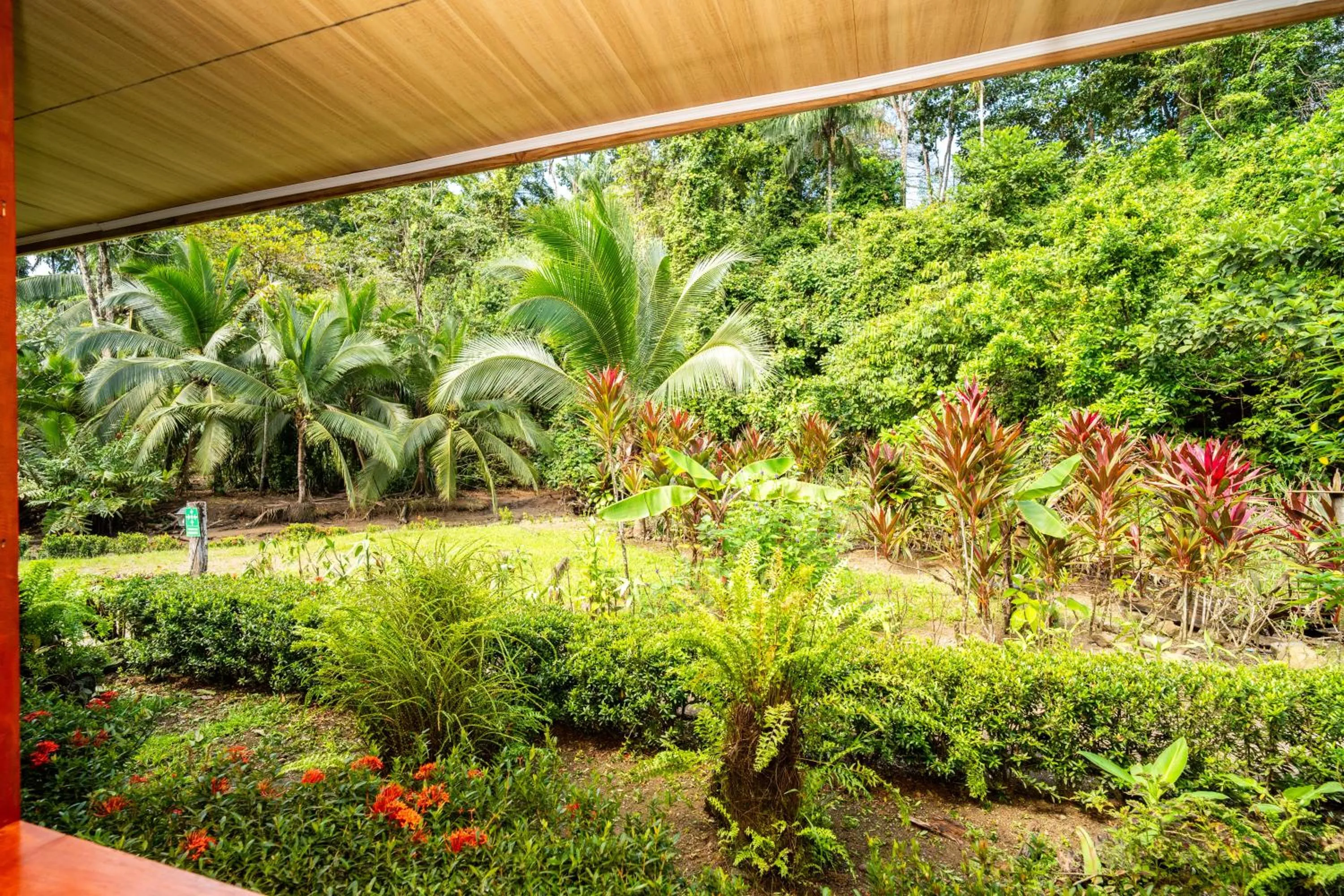 Garden in Casa el Tortugo