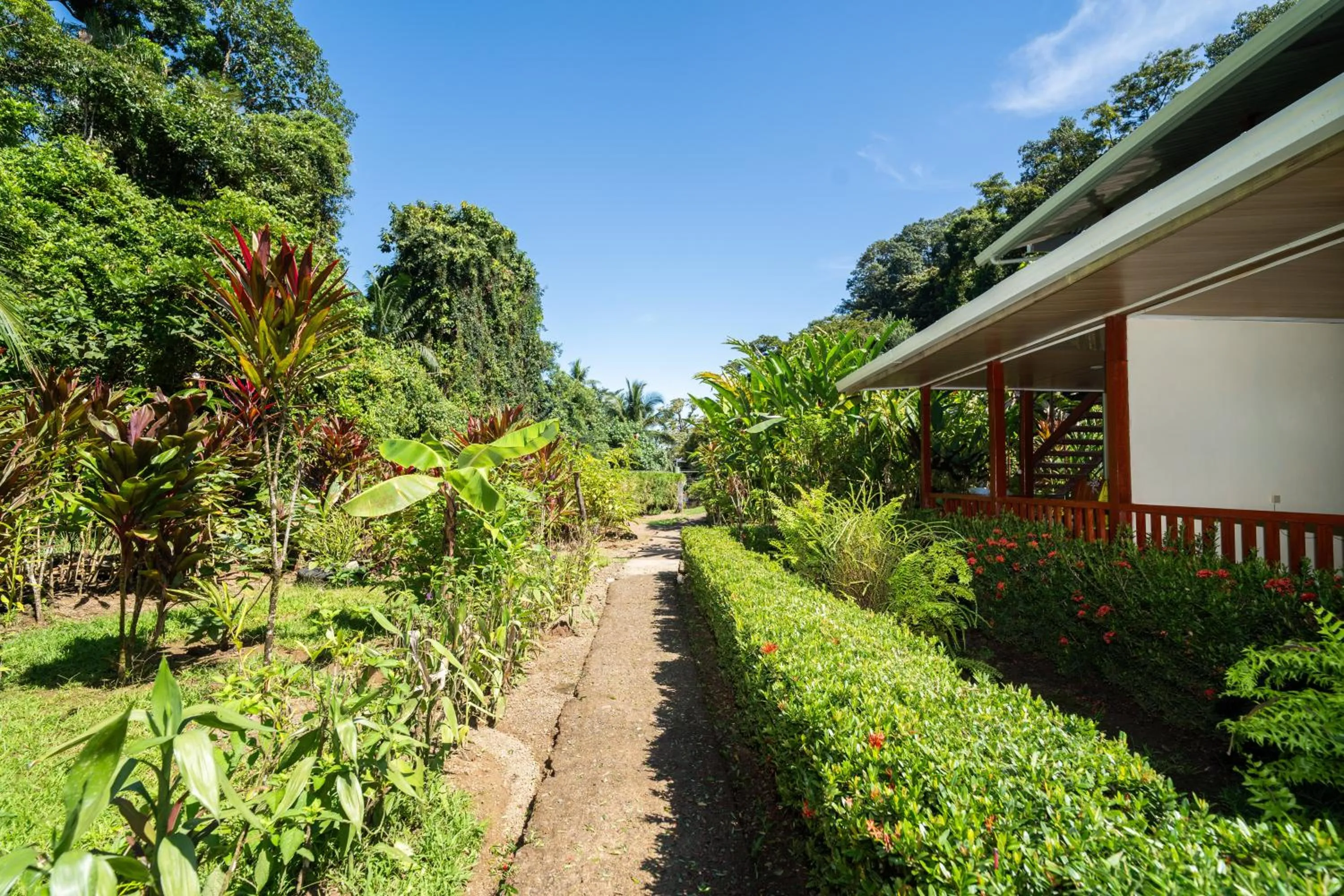 Garden in Casa el Tortugo