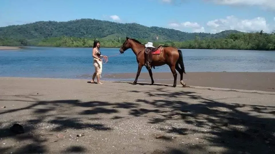 Horse-riding in Casa el Tortugo