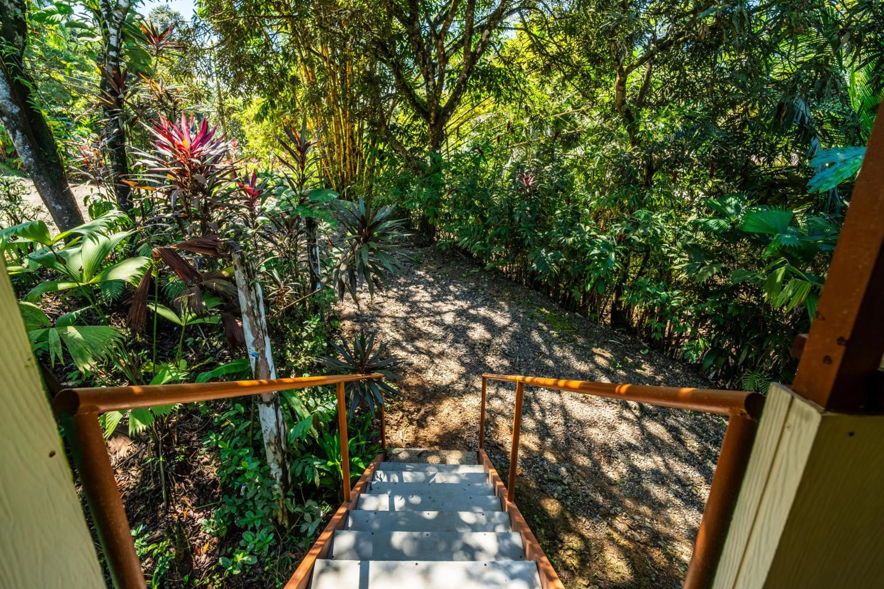 Facade/entrance in Casa el Tortugo