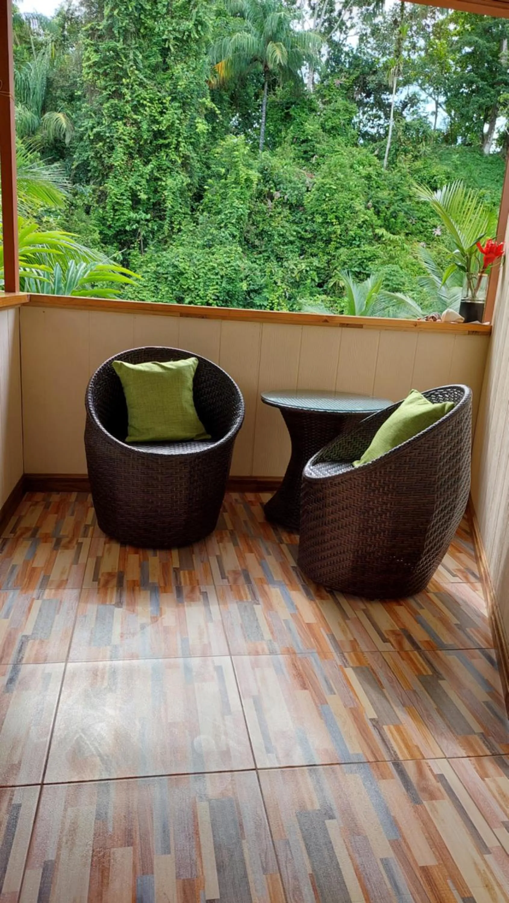 Balcony/Terrace in Casa el Tortugo