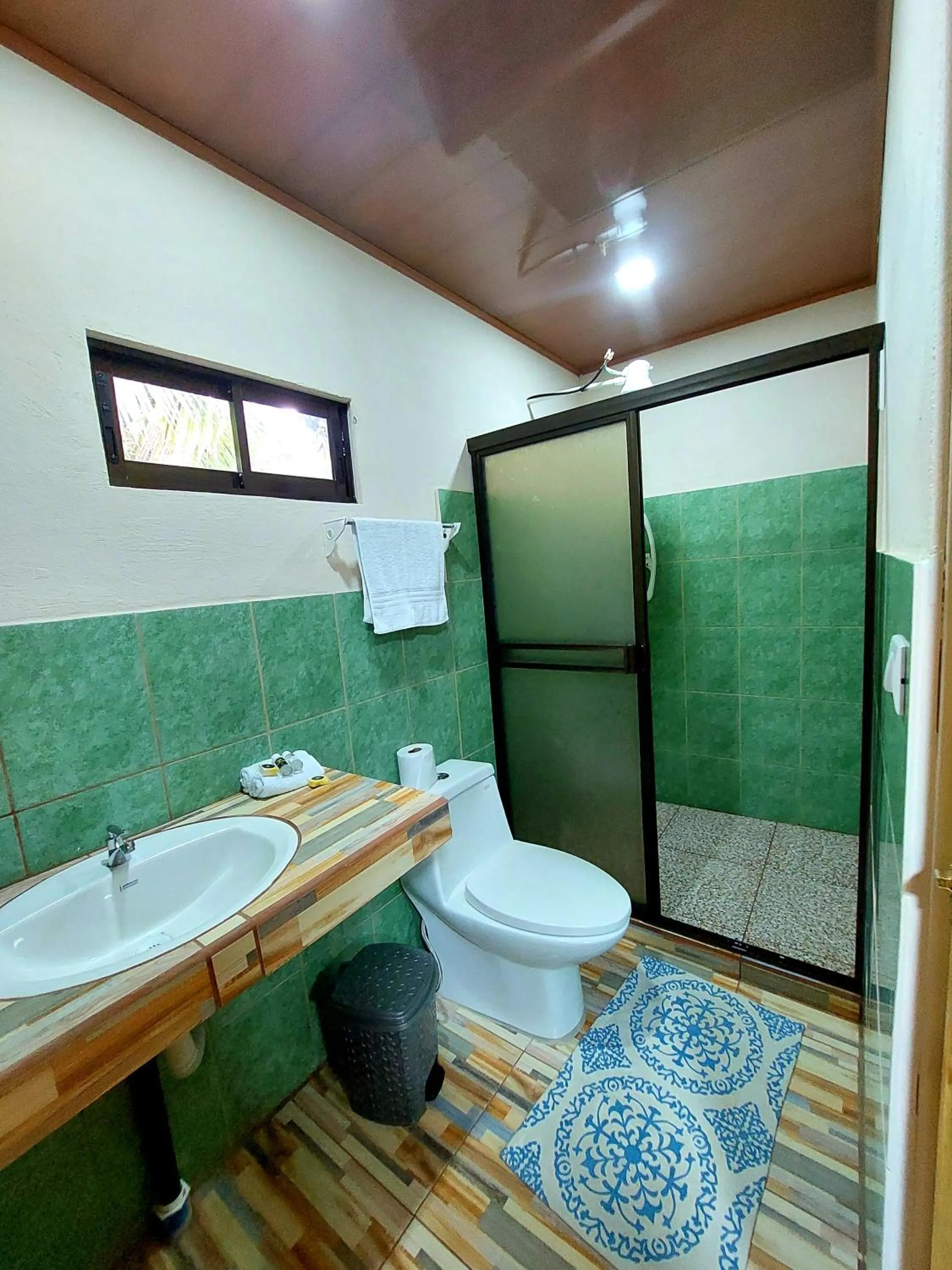 Toilet in Casa el Tortugo