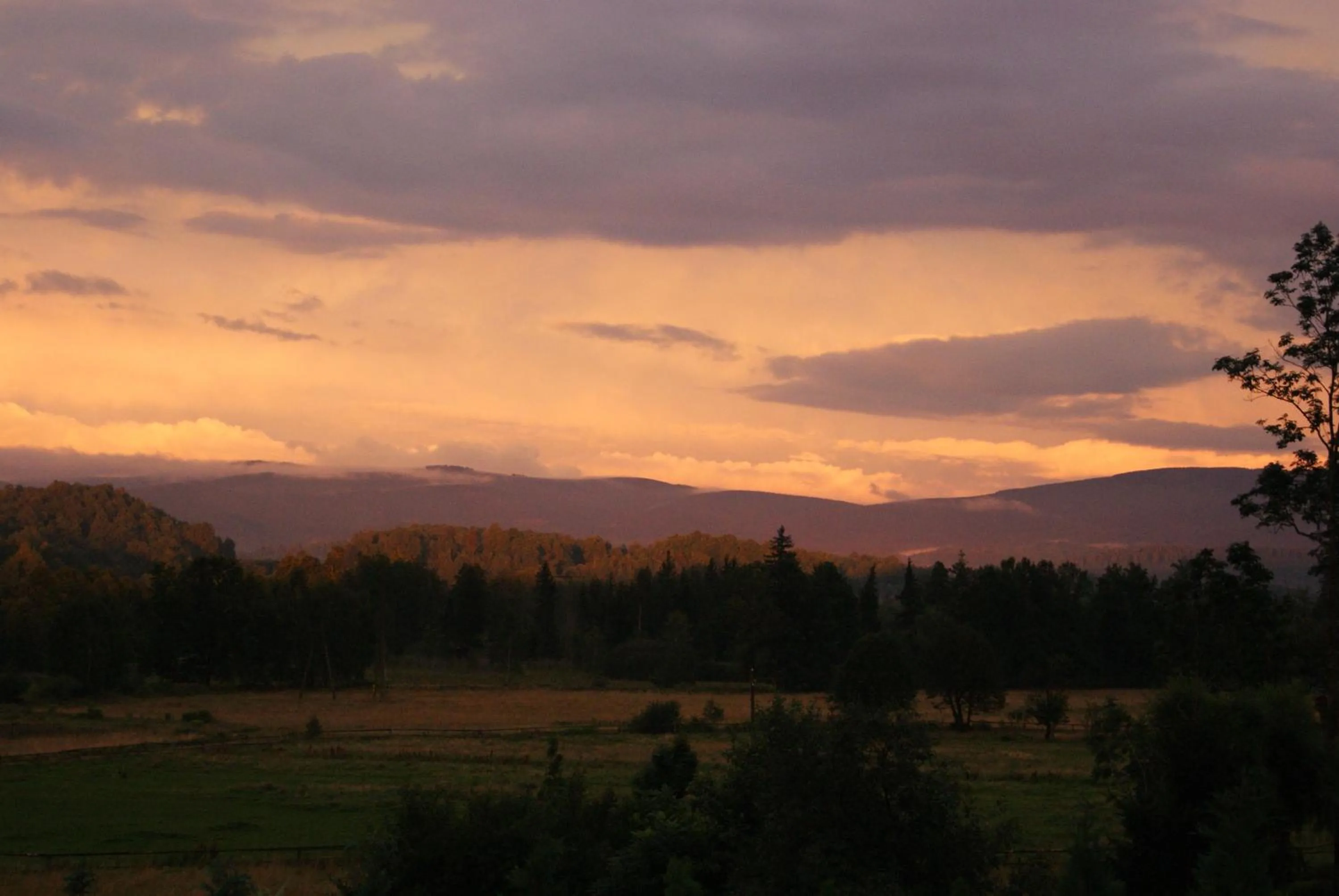 View (from property/room) in Rezydencja Villa Nova