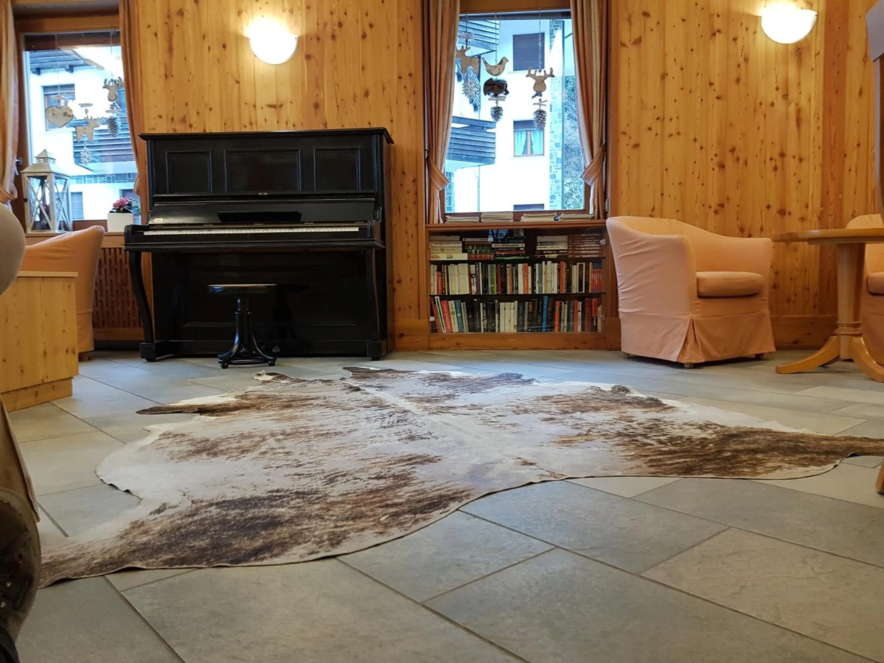 Library in Hotel Pedretti