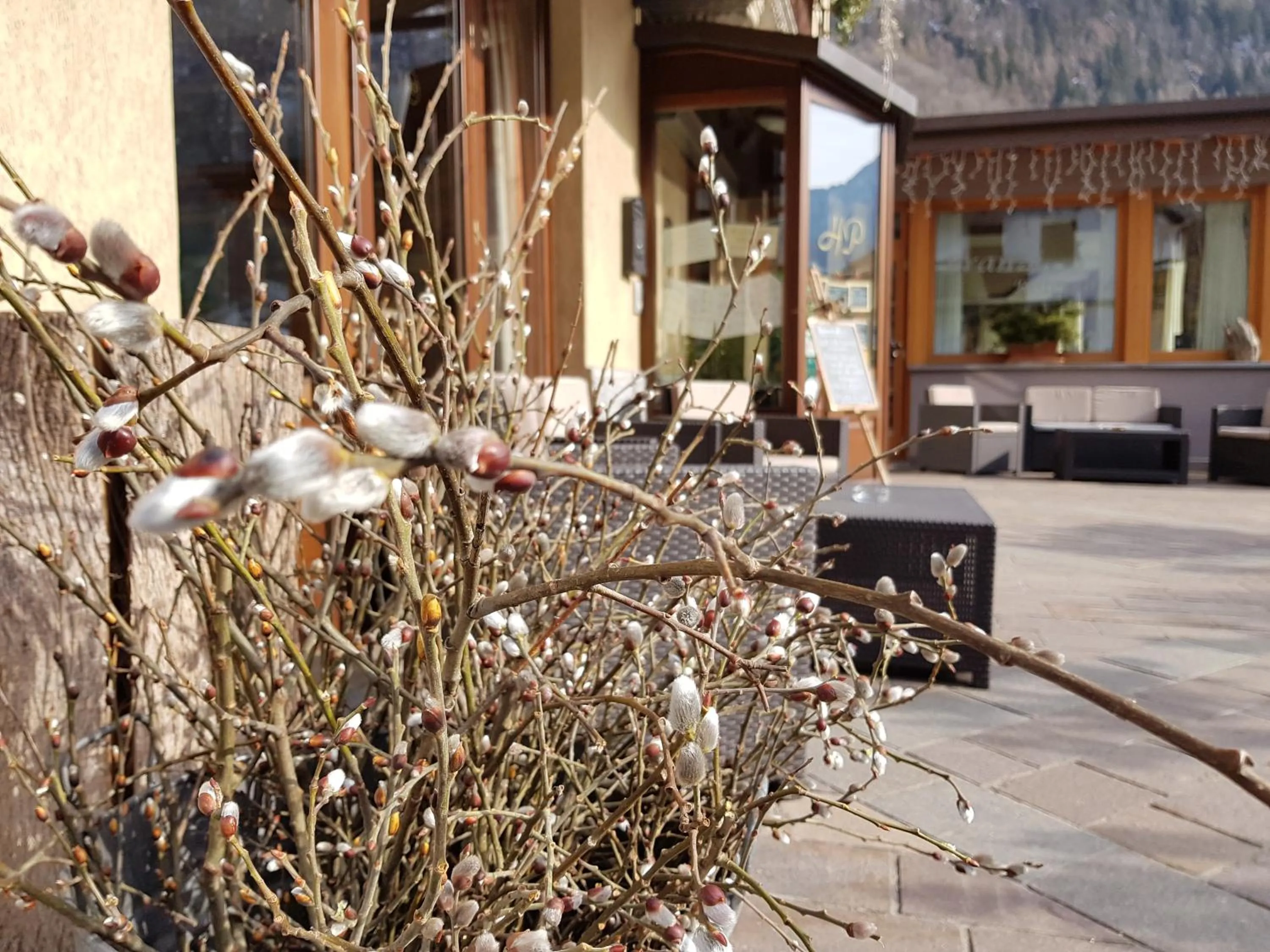 Balcony/Terrace in Hotel Pedretti