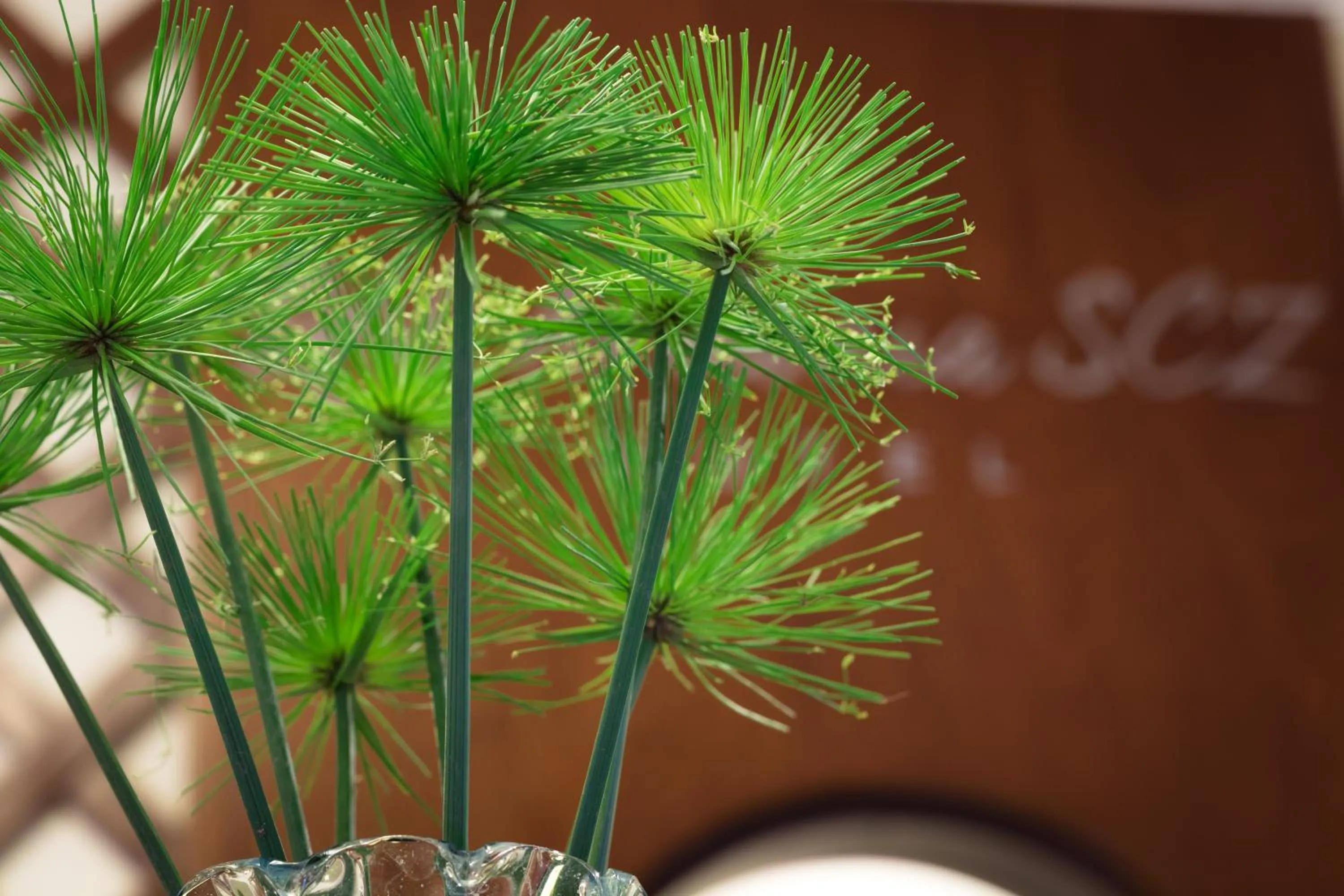 Logo/Certificate/Sign in Hotel By Armonía Santa Cruz