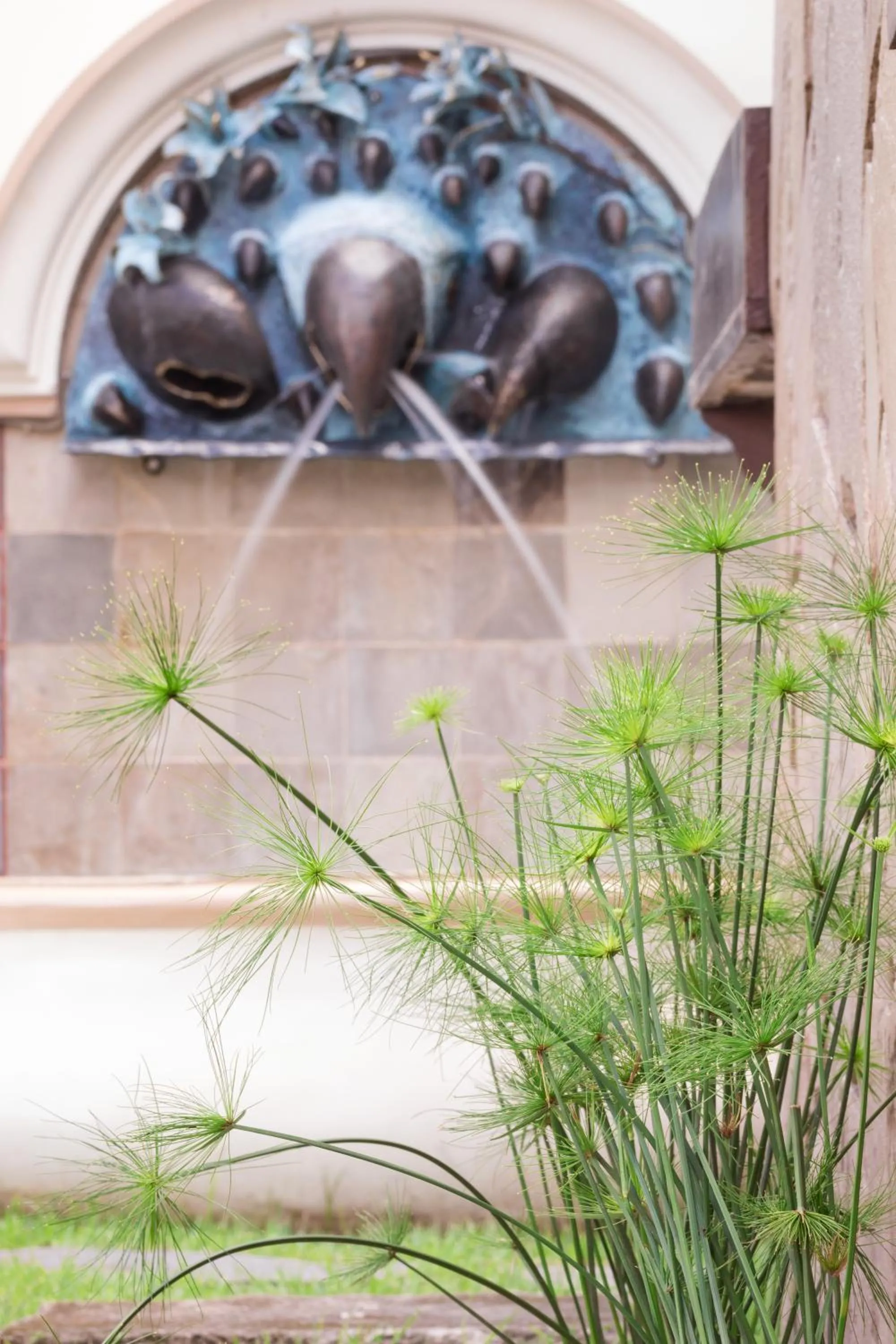 Garden in Hotel By Armonía Santa Cruz