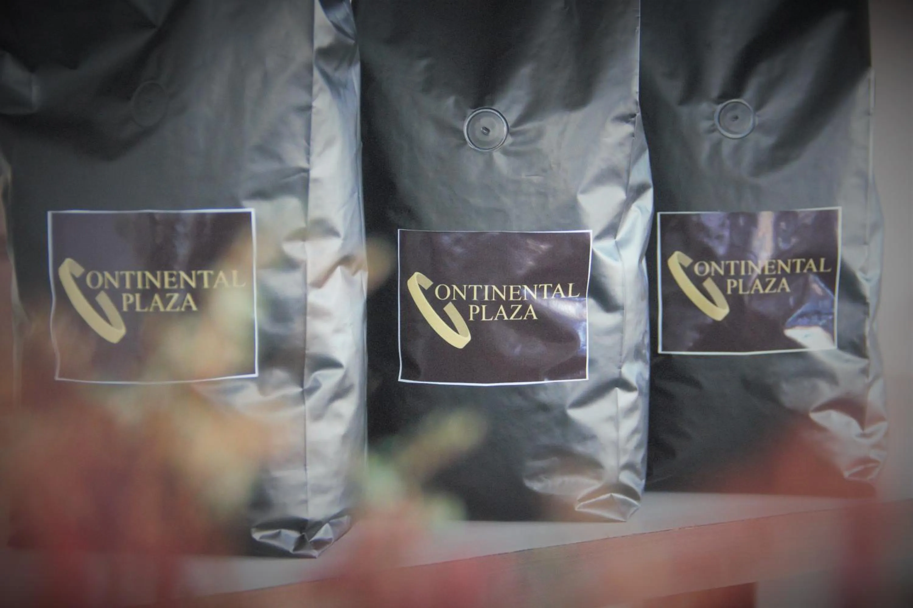 Continental Plaza Vientiane